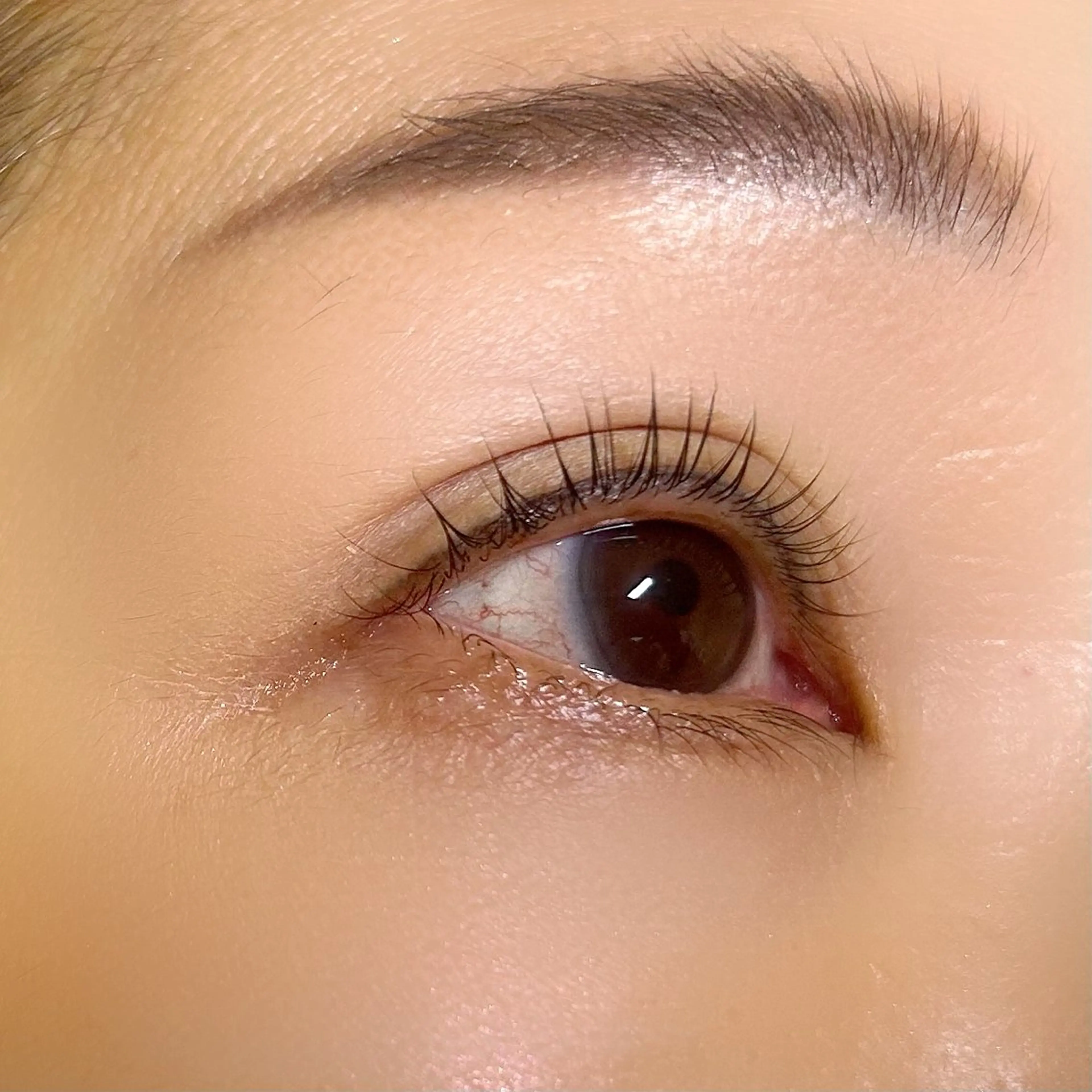 マツエク・マツパ アイリスト fujiwaraのマツエク・マツパデザイン