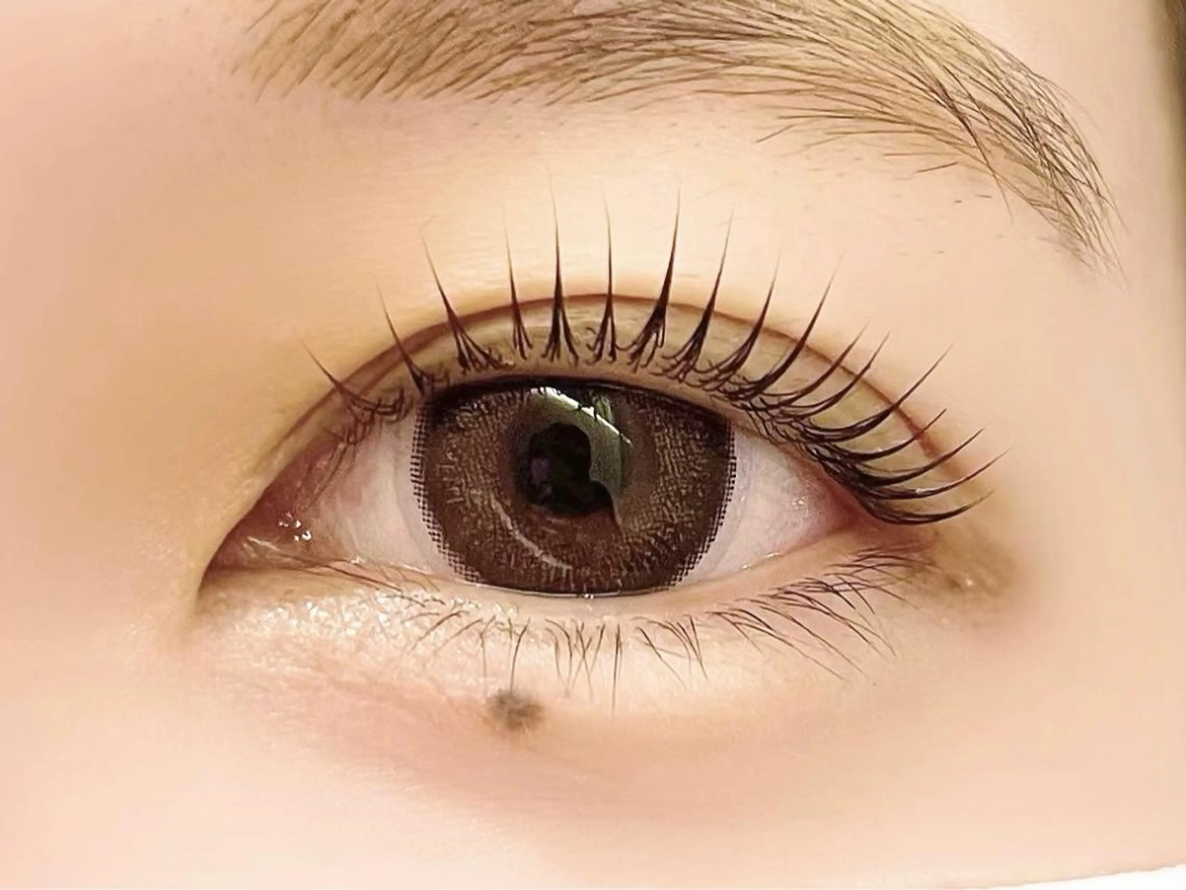 マツエク・マツパ sola: neolive熊田のマツエク・マツパデザイン