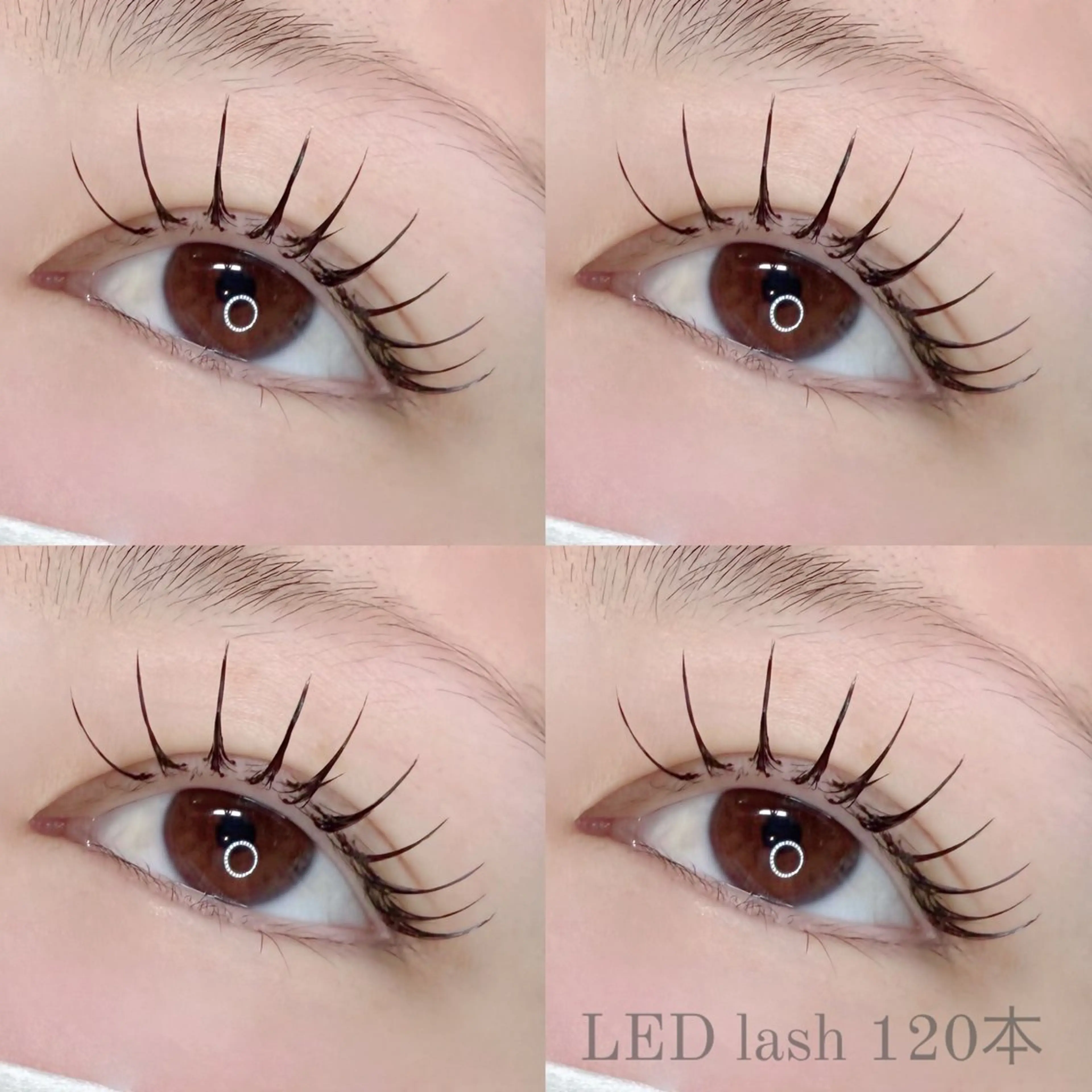 🎄12月限定クーポン🎀LEDエクステ120本まで　オフなしの写真