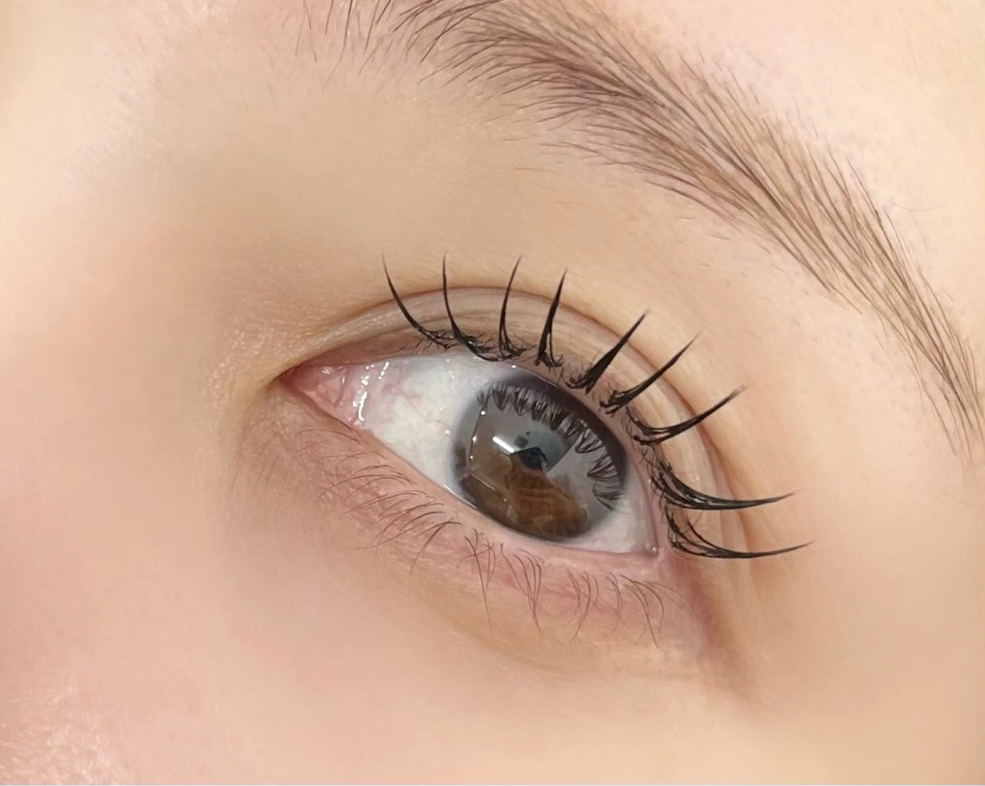 【当日限定クーポン🌈】フラットラッシュ100本まで付け放題(オフ込み)の写真