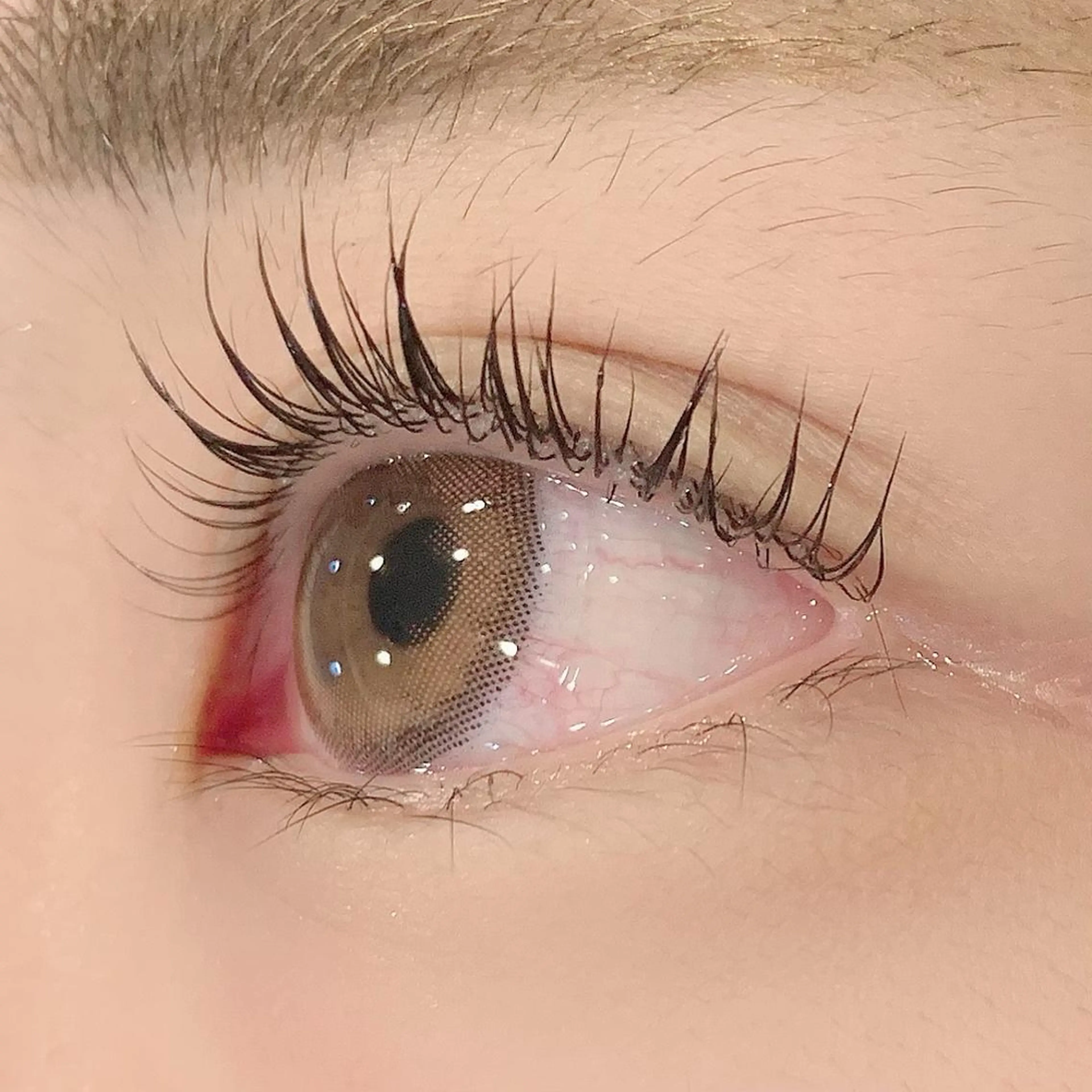 マツエク・マツパ まつげパーマ Millie ainee 店長 神のマツエク・マツパデザイン