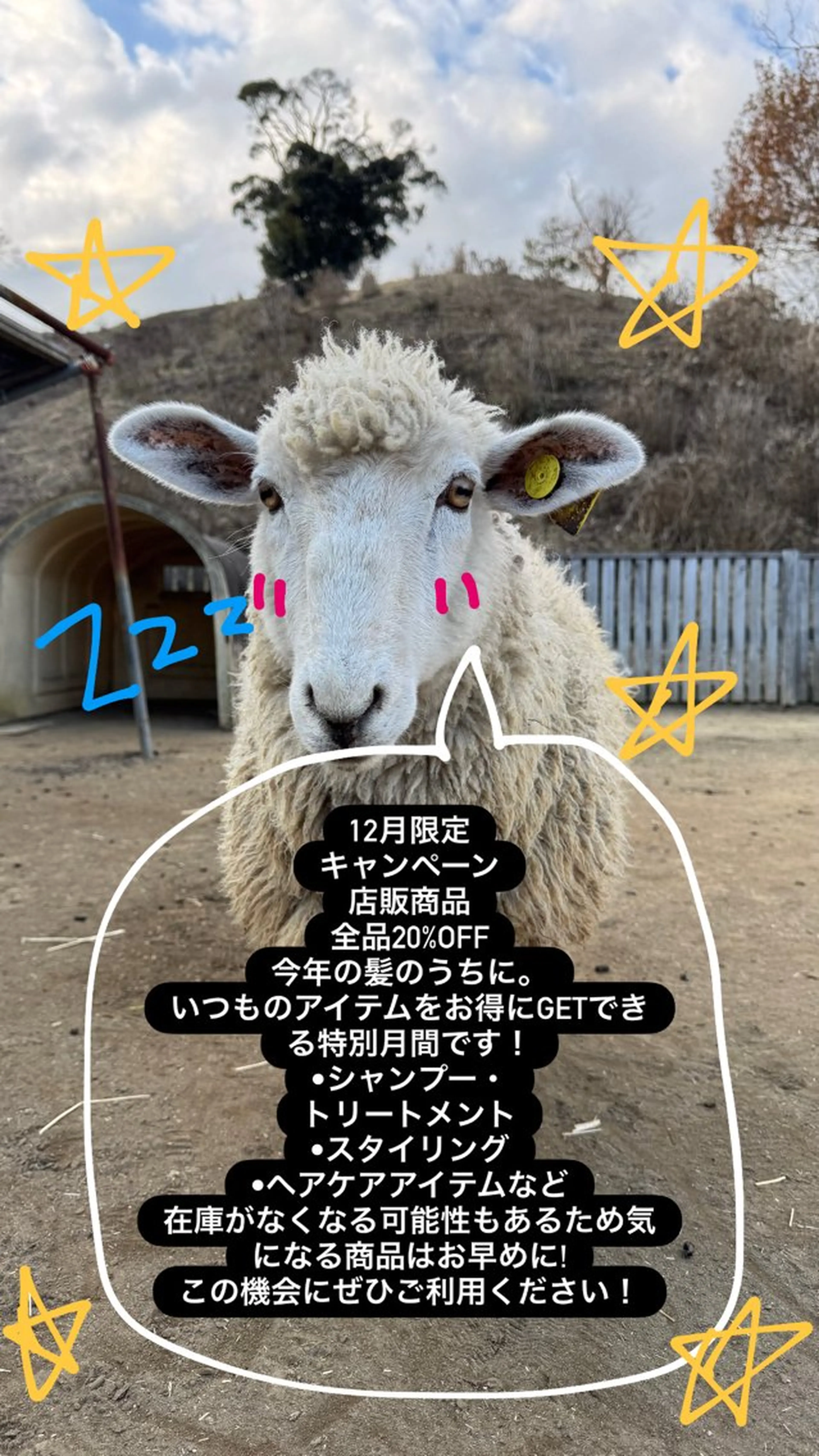 店販商品➕ヘッドスパ➕頭身浴の写真