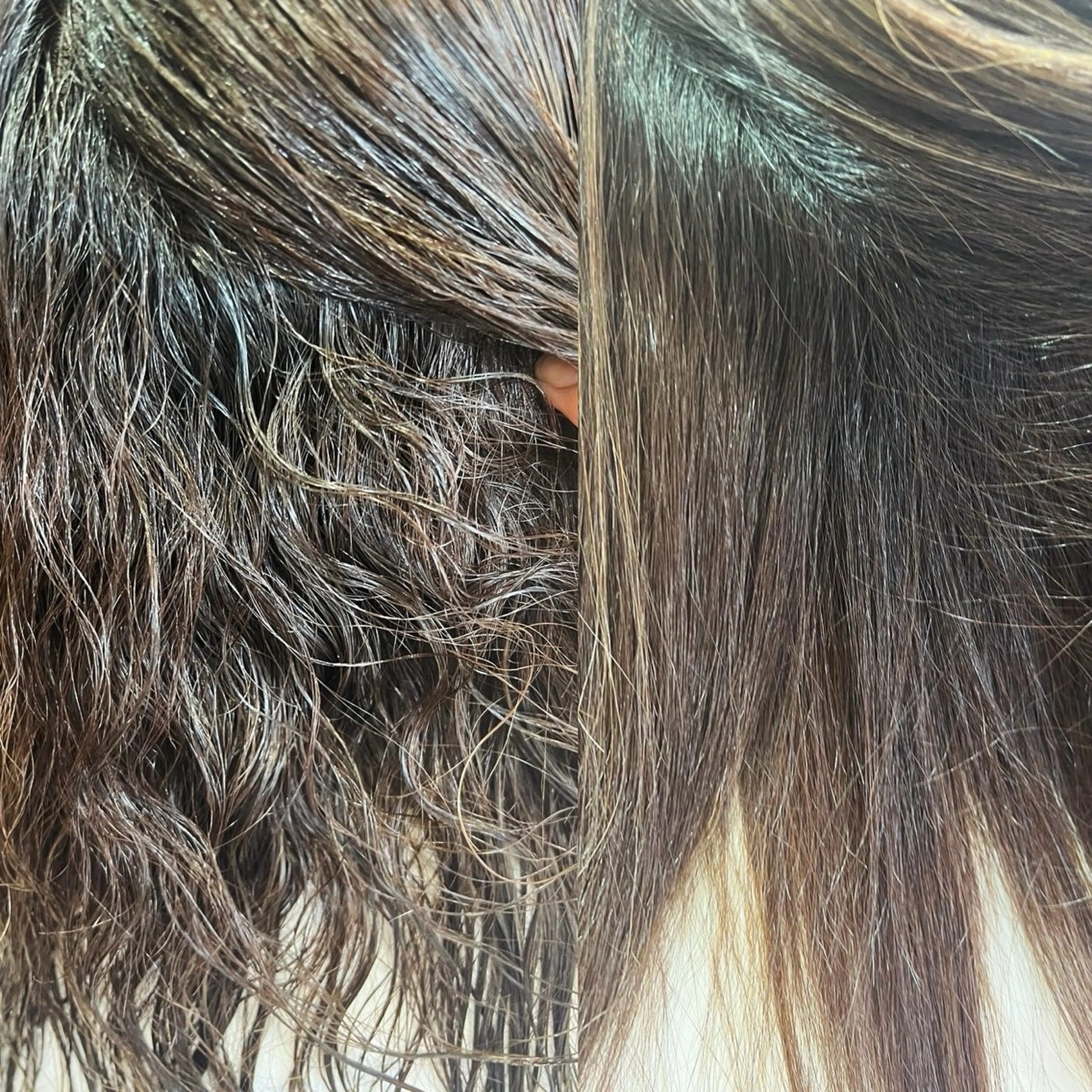 テテアテテ所属・k Toshieのヘアスタイル