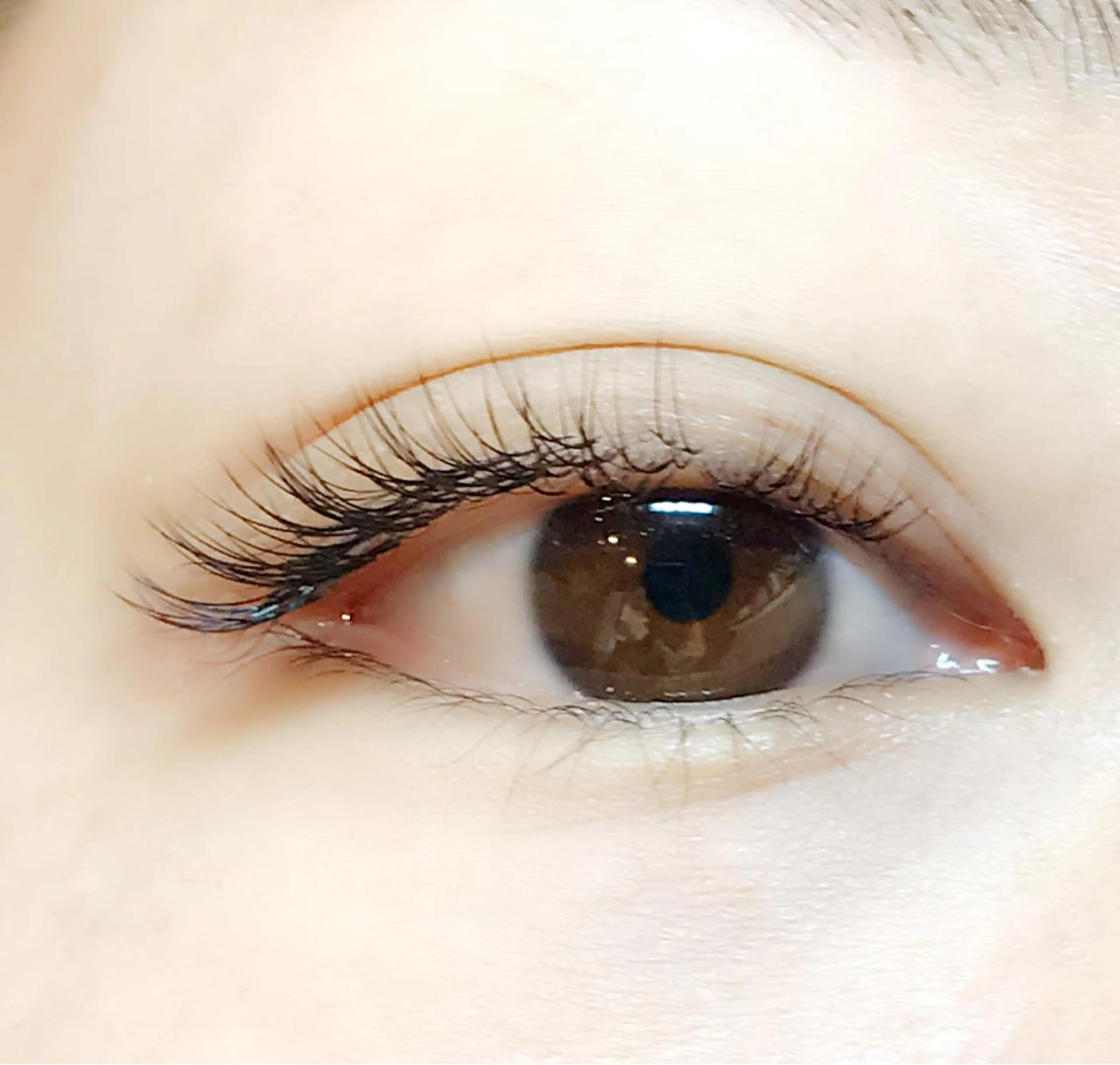 マツエク・マツパ ナチュラル Lien -eyelash-の眉毛・アイブロウイメージ