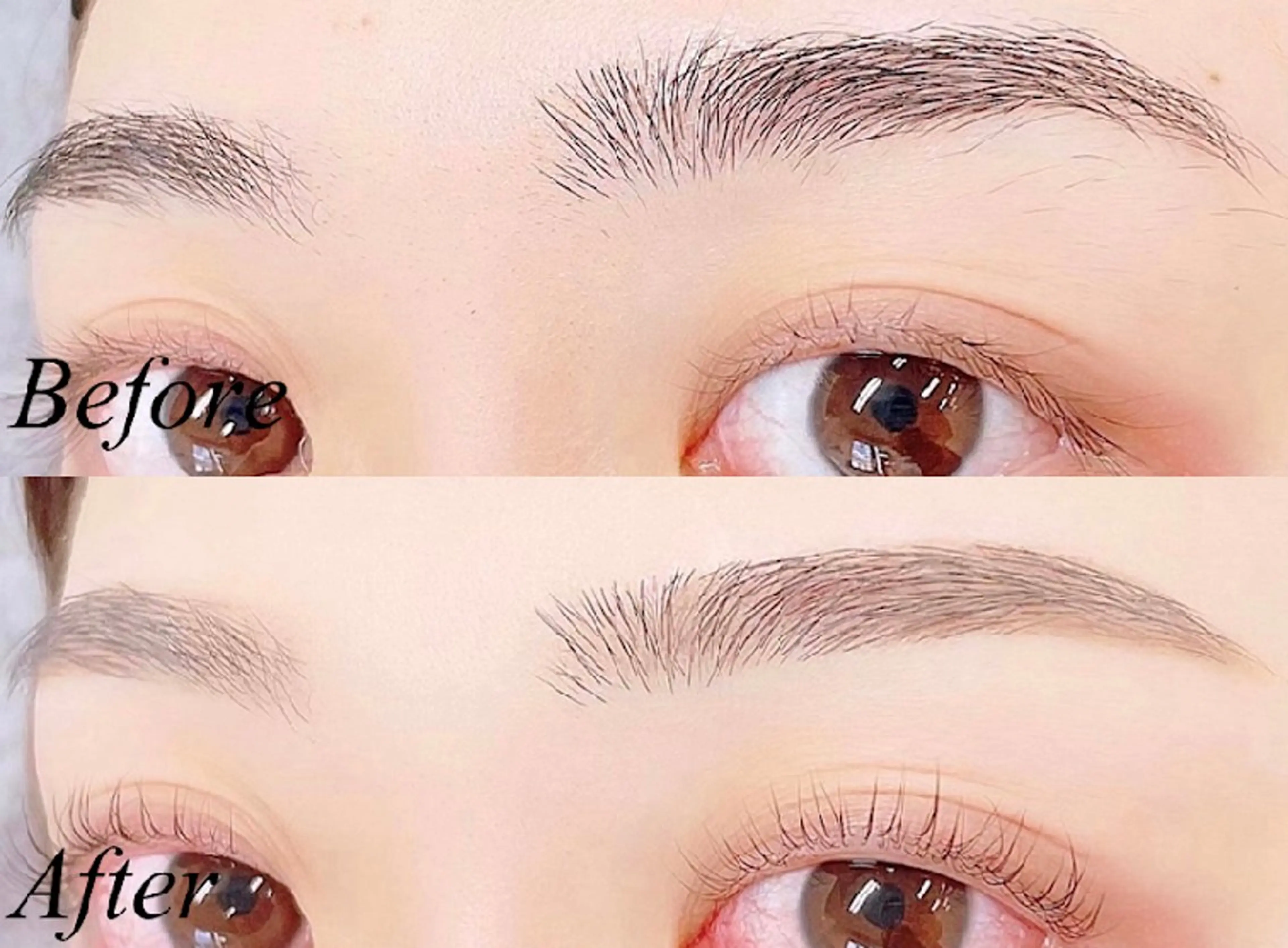 《持続力⭐️眉毛》美眉アイブロウWAX+ハリウッドブロウリフトの写真