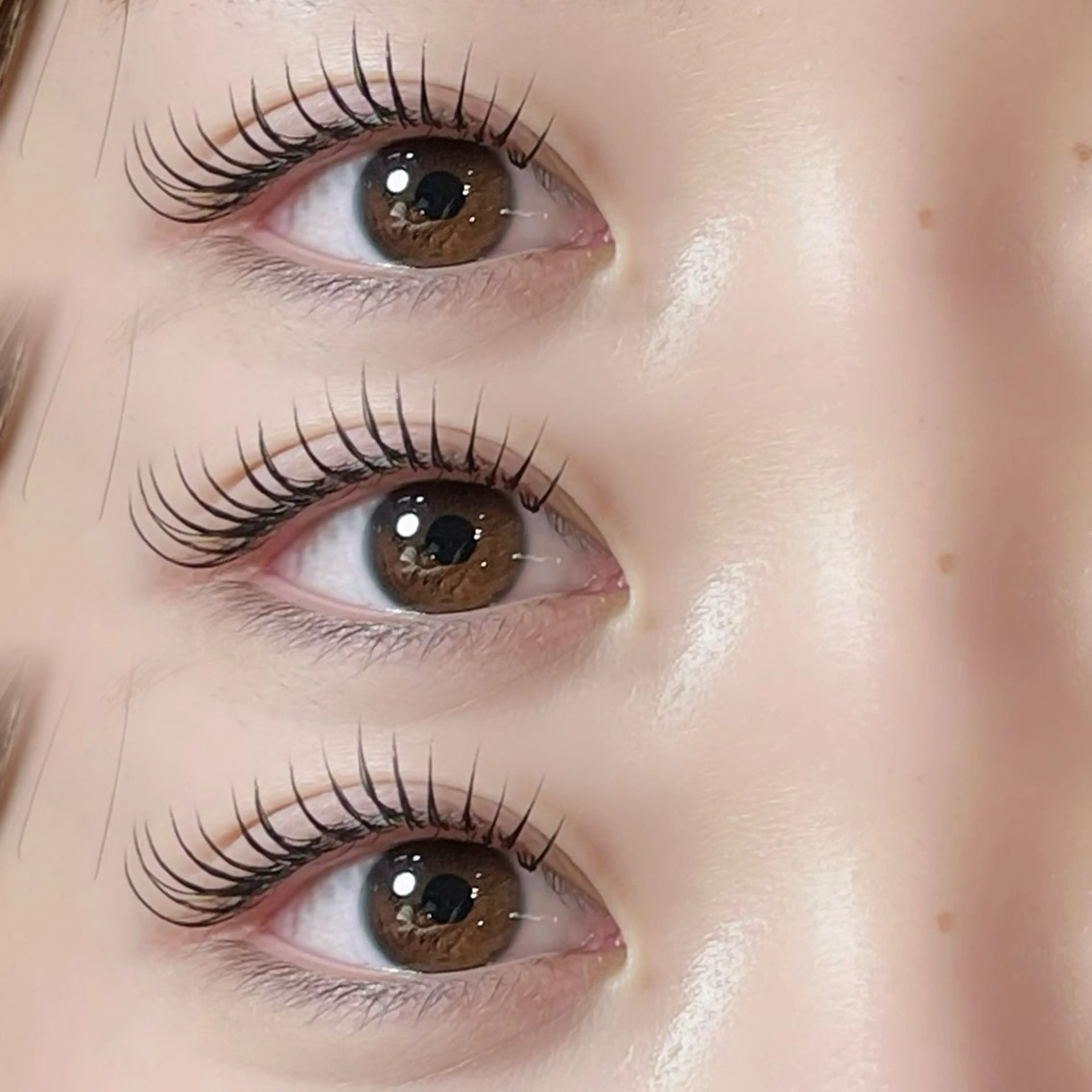 🤎初回オフ無料🤎フラットラッシュ100本🪄の写真