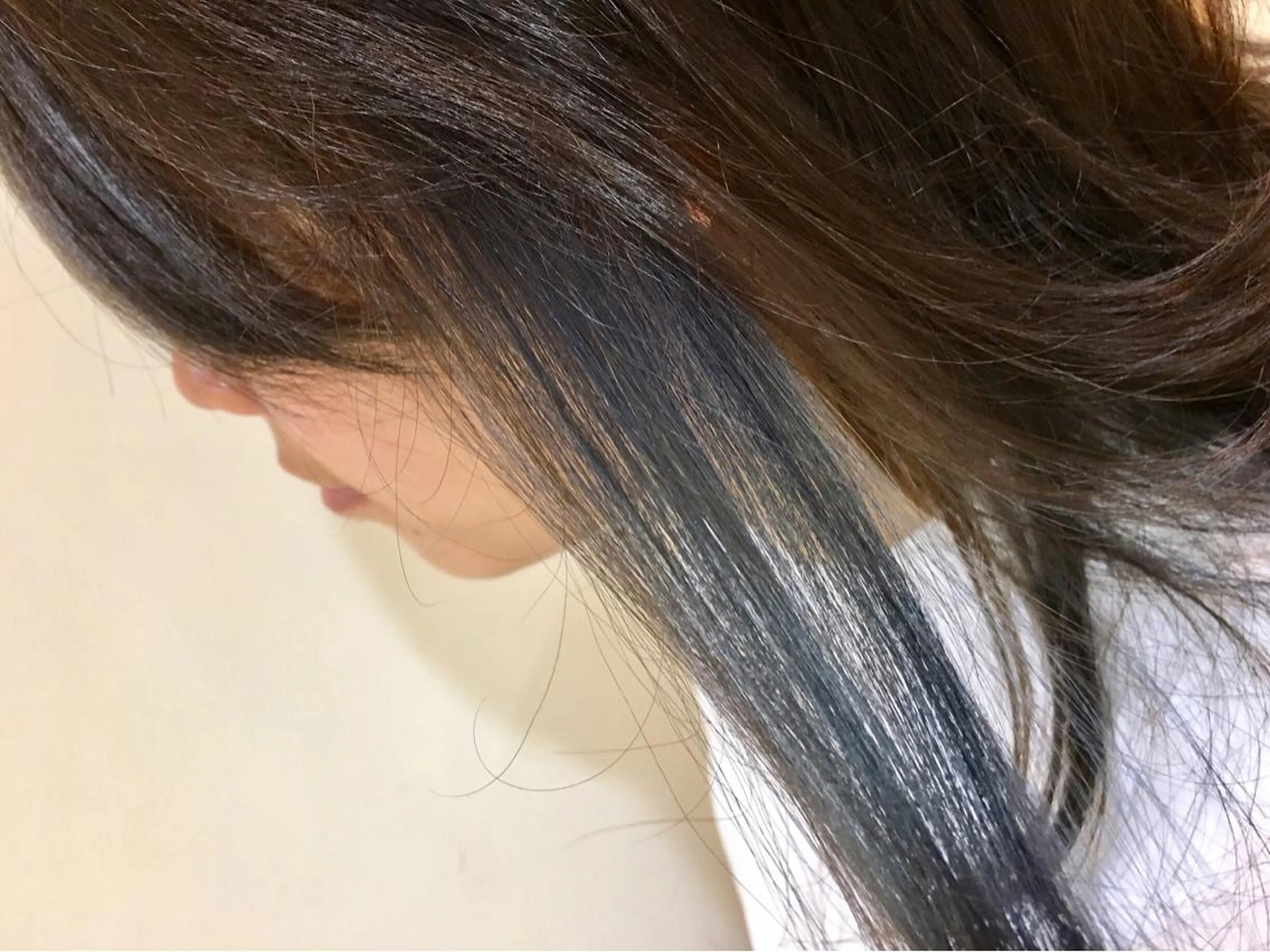カラー ネイビーカラー 永井 大希のヘアスタイル