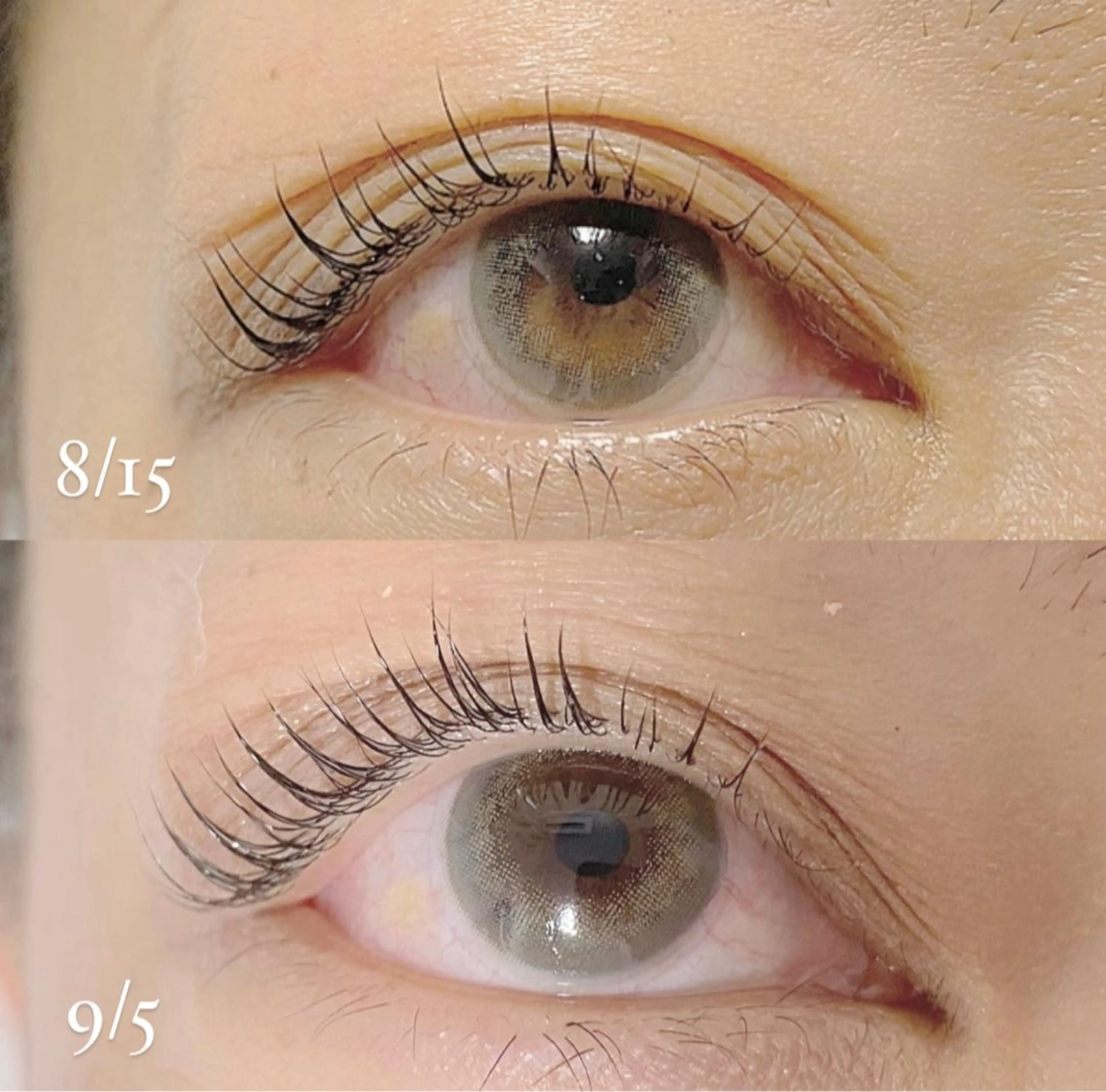 マツエク・マツパ パリジェンヌラッシュリフト Anela Beauty Salon所属・Anela 博多/春吉のマツエク・マツパデザイン