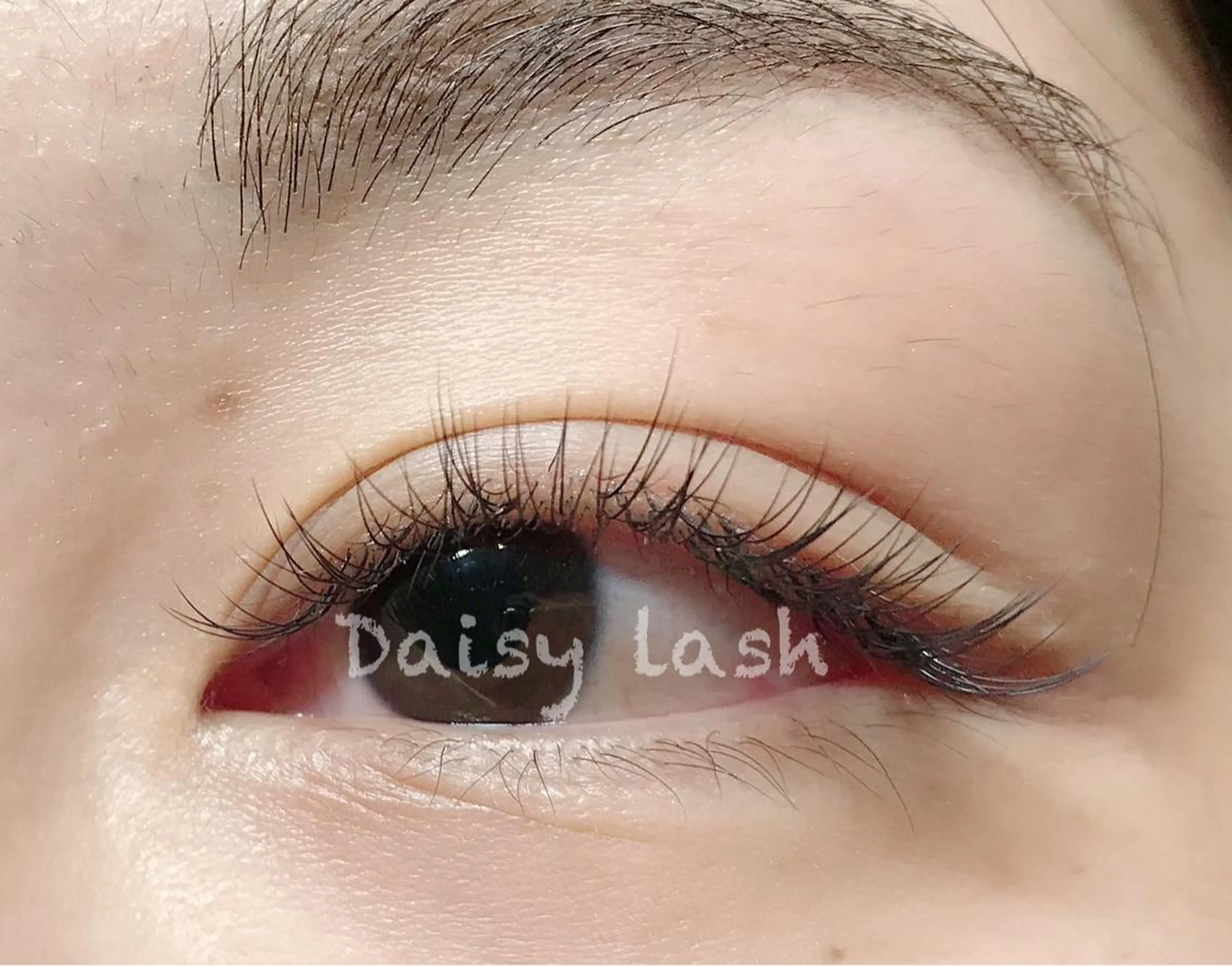 マツエク・マツパ Cカール セーブル Daisy lash 高尾のマツエク・マツパデザイン