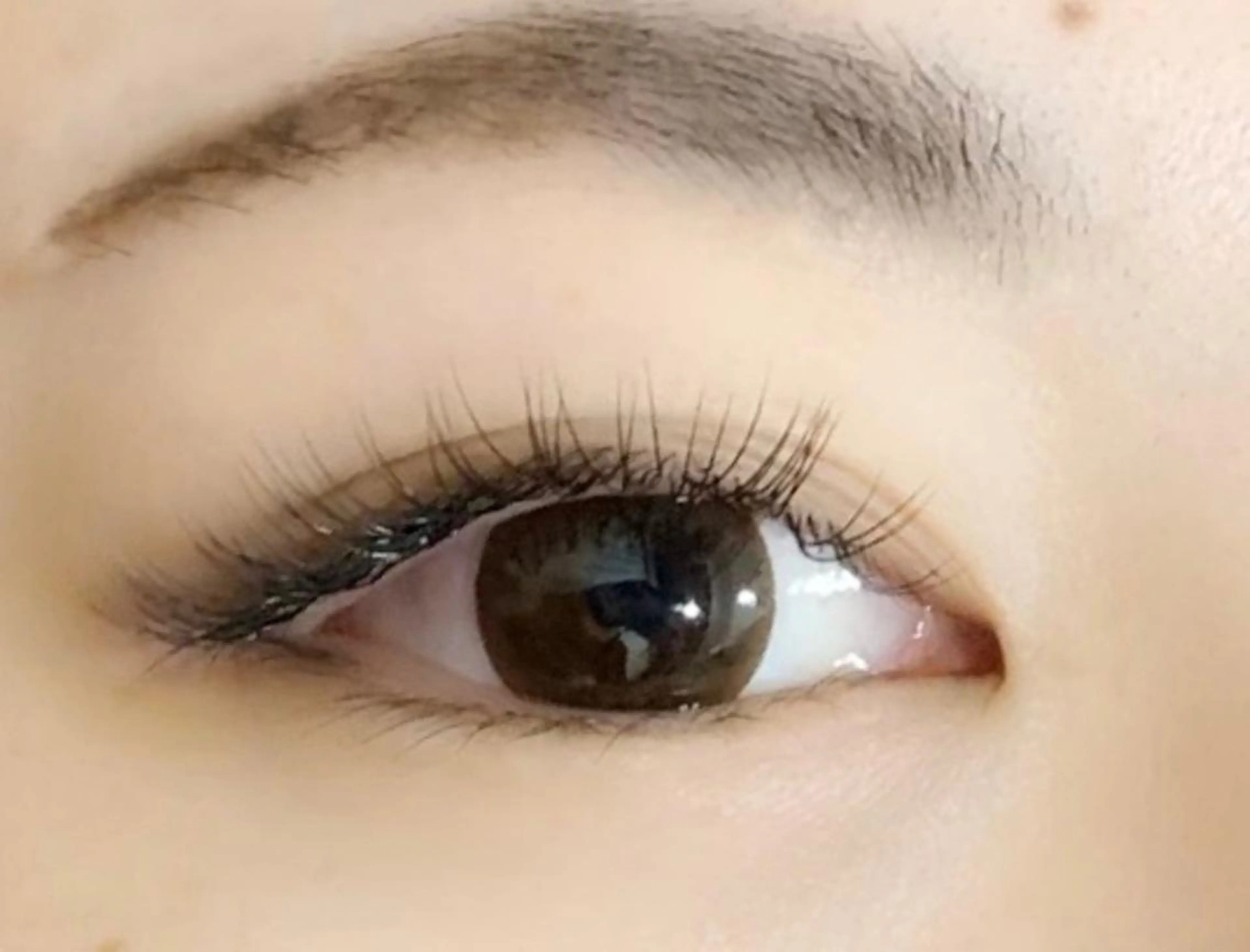 フラットラッシュ100本 4500円 / セーブル100本 4000円の写真