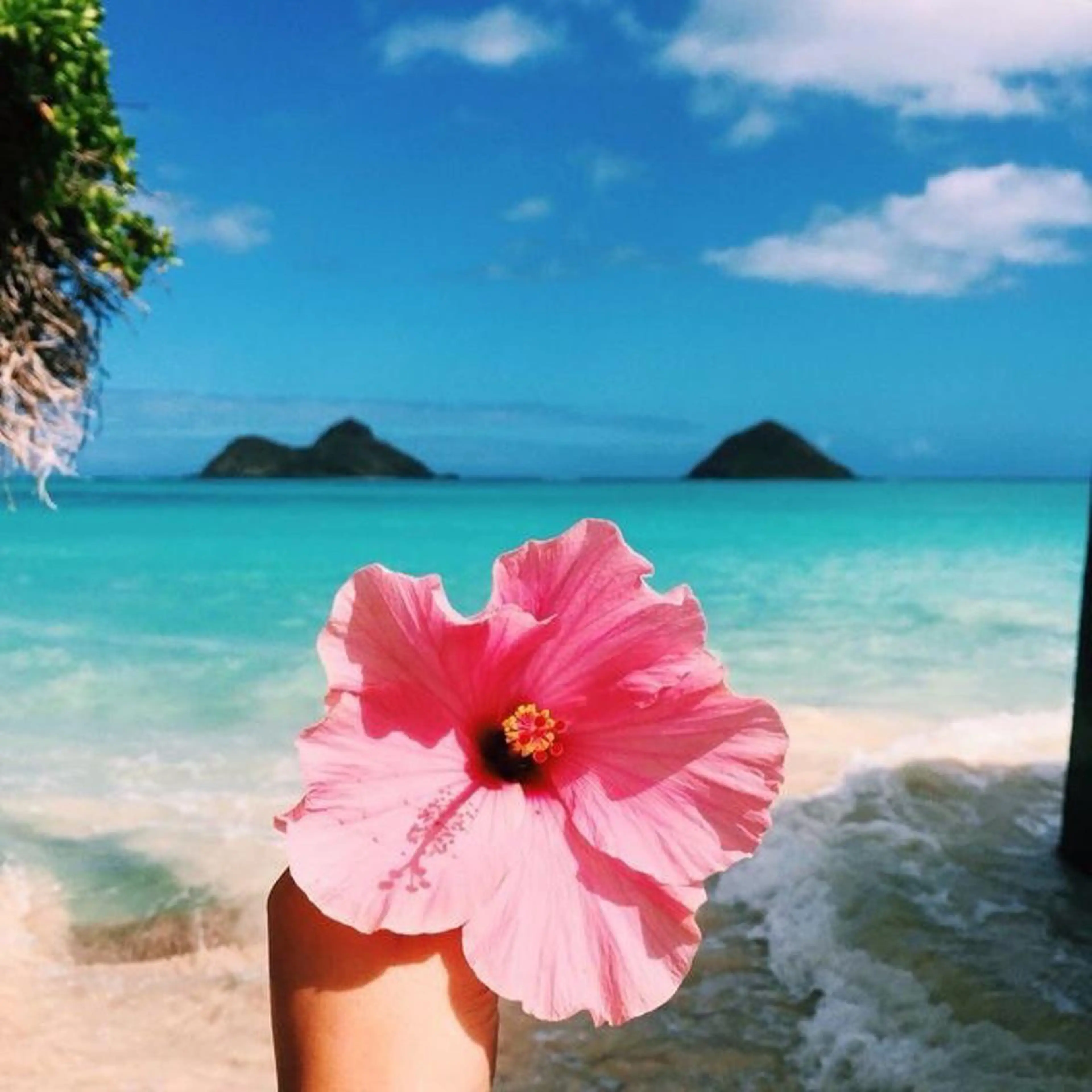 𝐘𝐎𝐒𝐇𝐈 𝐌𝐈🌞🏝のマツエク・マツパデザイン