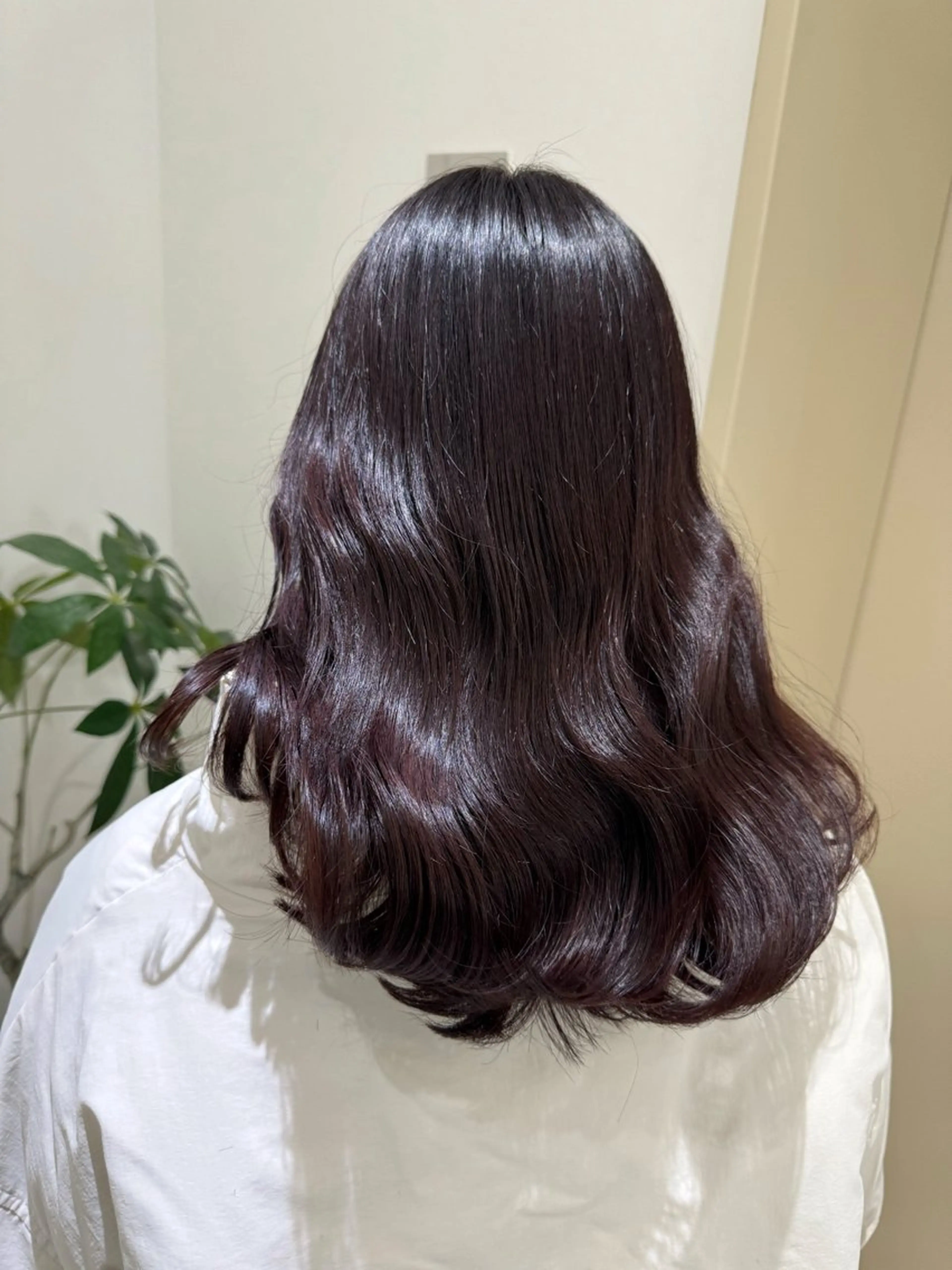 セミロング カラー ブラウンカラー ラベンダーカラー ピンクカラー カット ヘアカラー トリートメント 透け 艶感カラー齊木 勇人のヘアスタイル
