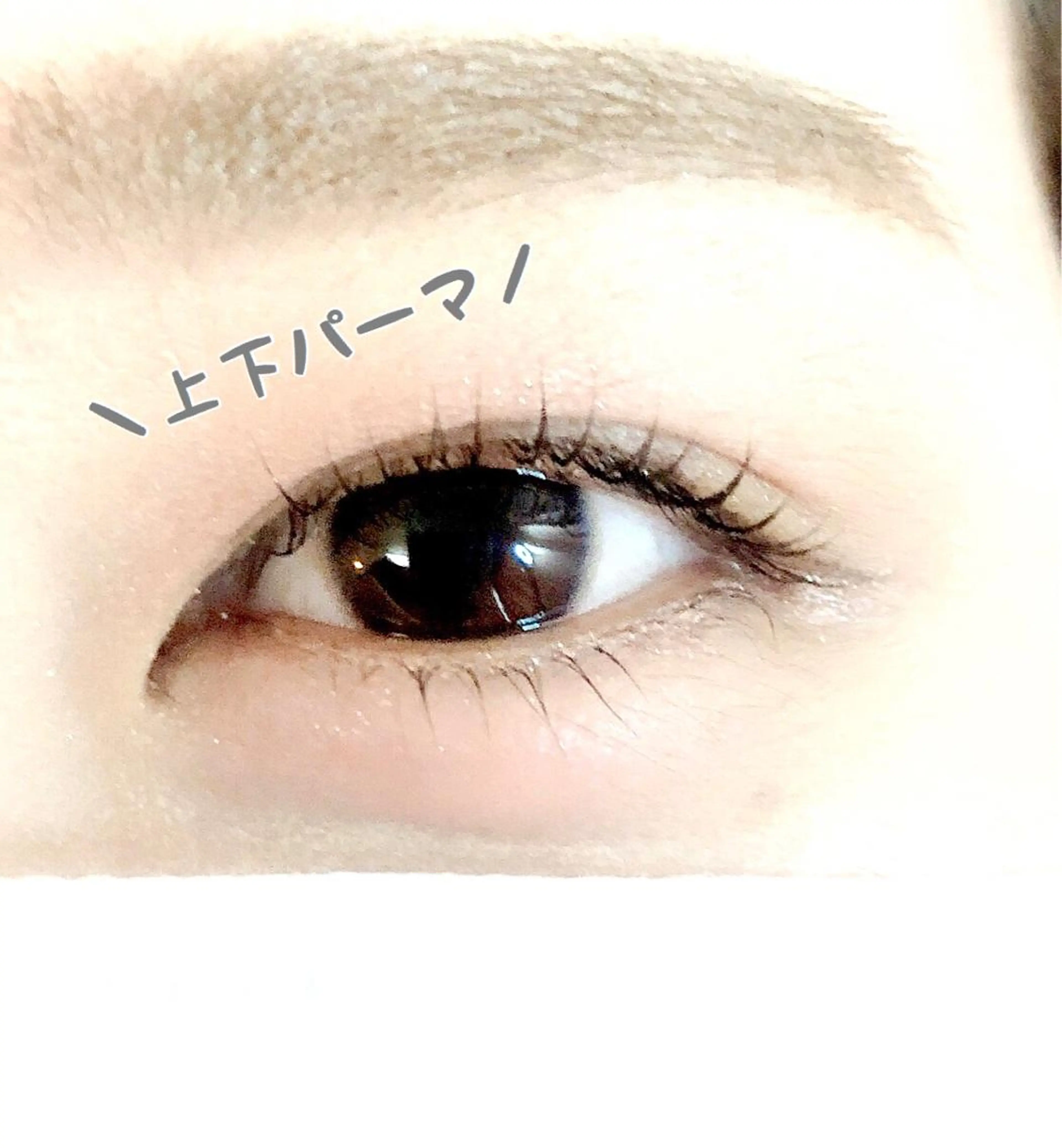 マツエク・マツパ まつ毛エクステ／まつ毛パーマ／フェイシャル／beautysalon cocora所属・ビューティーサロン ココラのマツエク・マツパデザイン