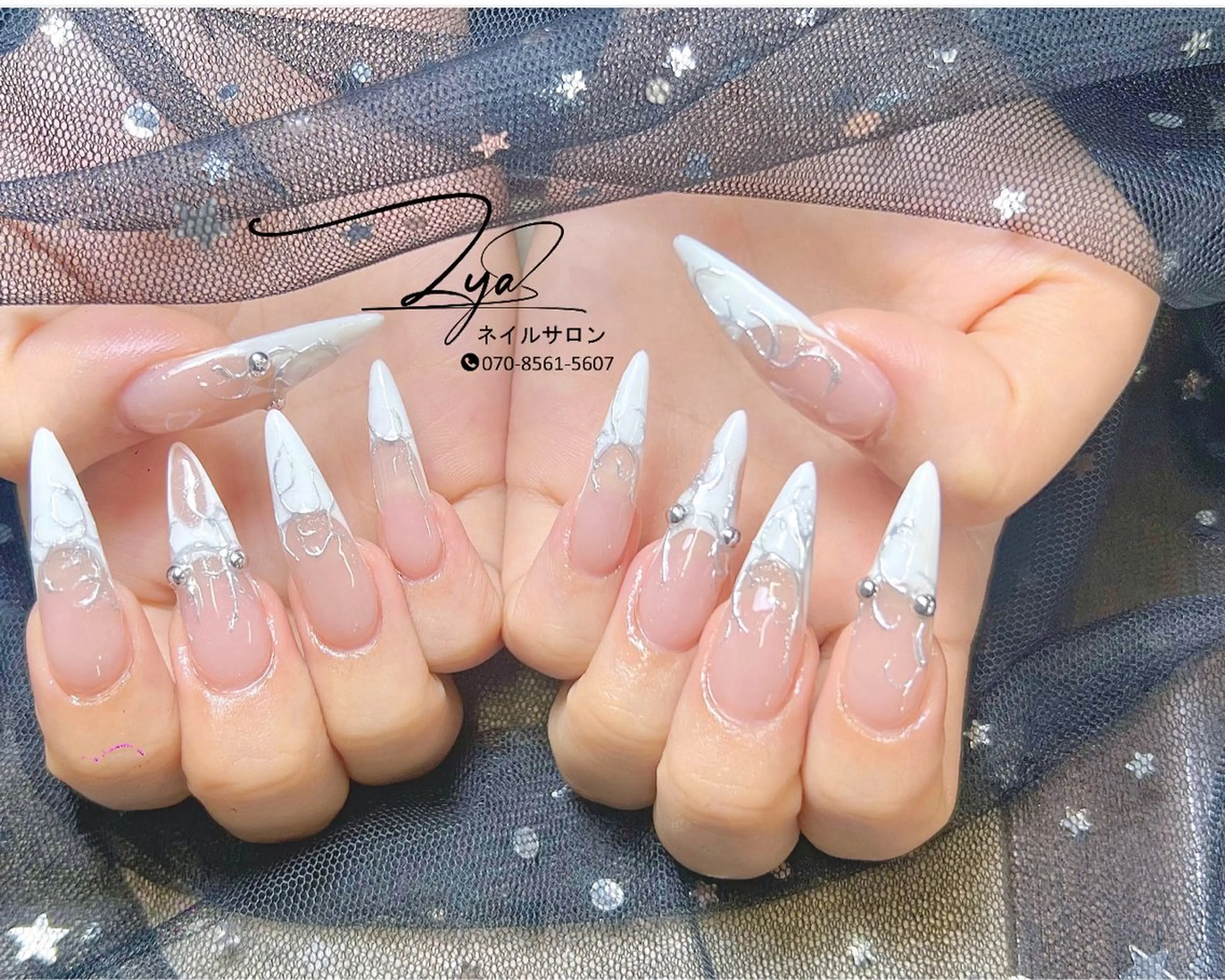 ネイル アートネイル ネイルチップ Lya Nail Salonのネイルデザイン
