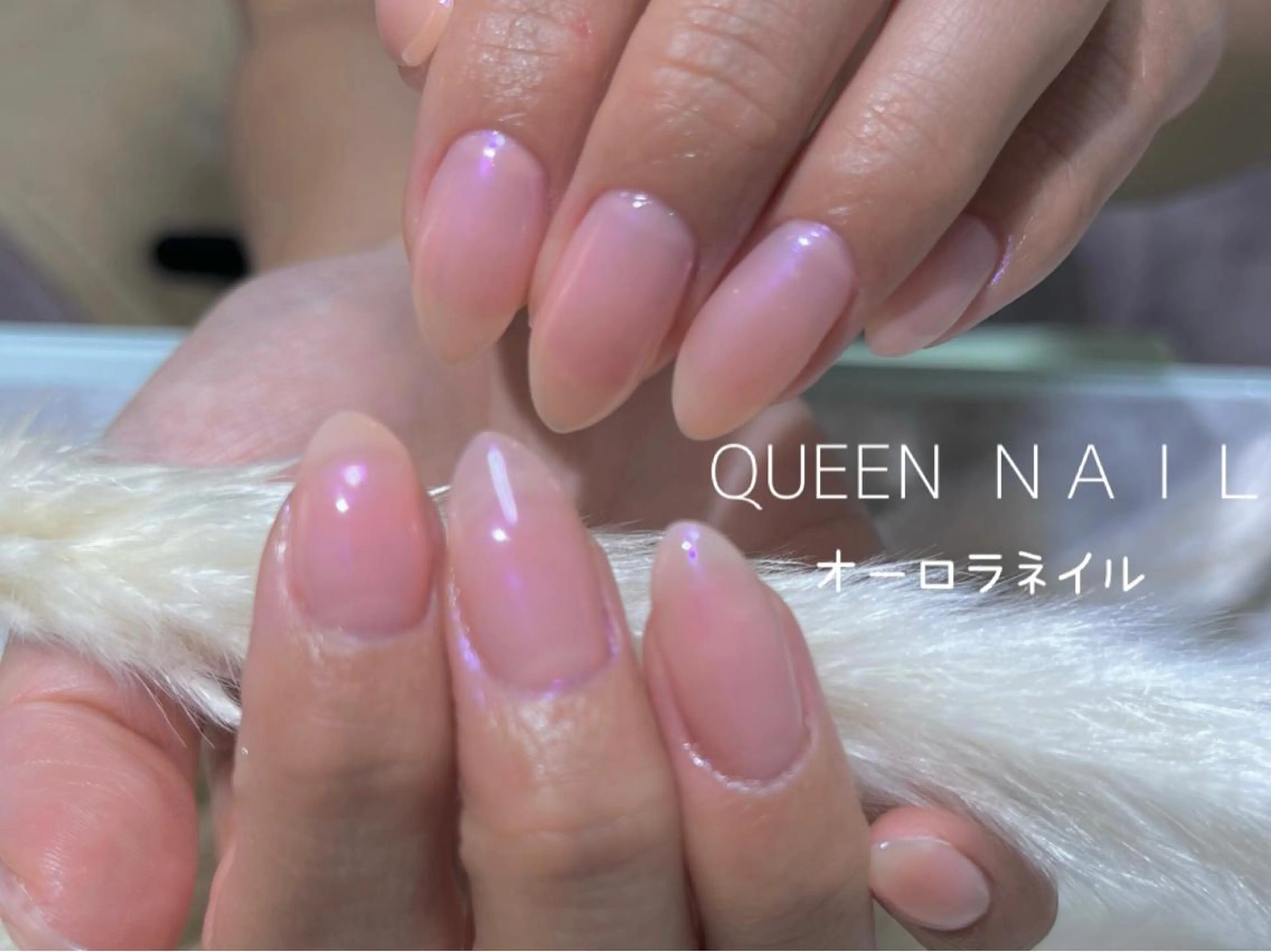 ショート カラー ネイル オーロラネイル オフィスネイル Queen nail所属・QUEEN ＮＡＩＬのネイルデザイン
