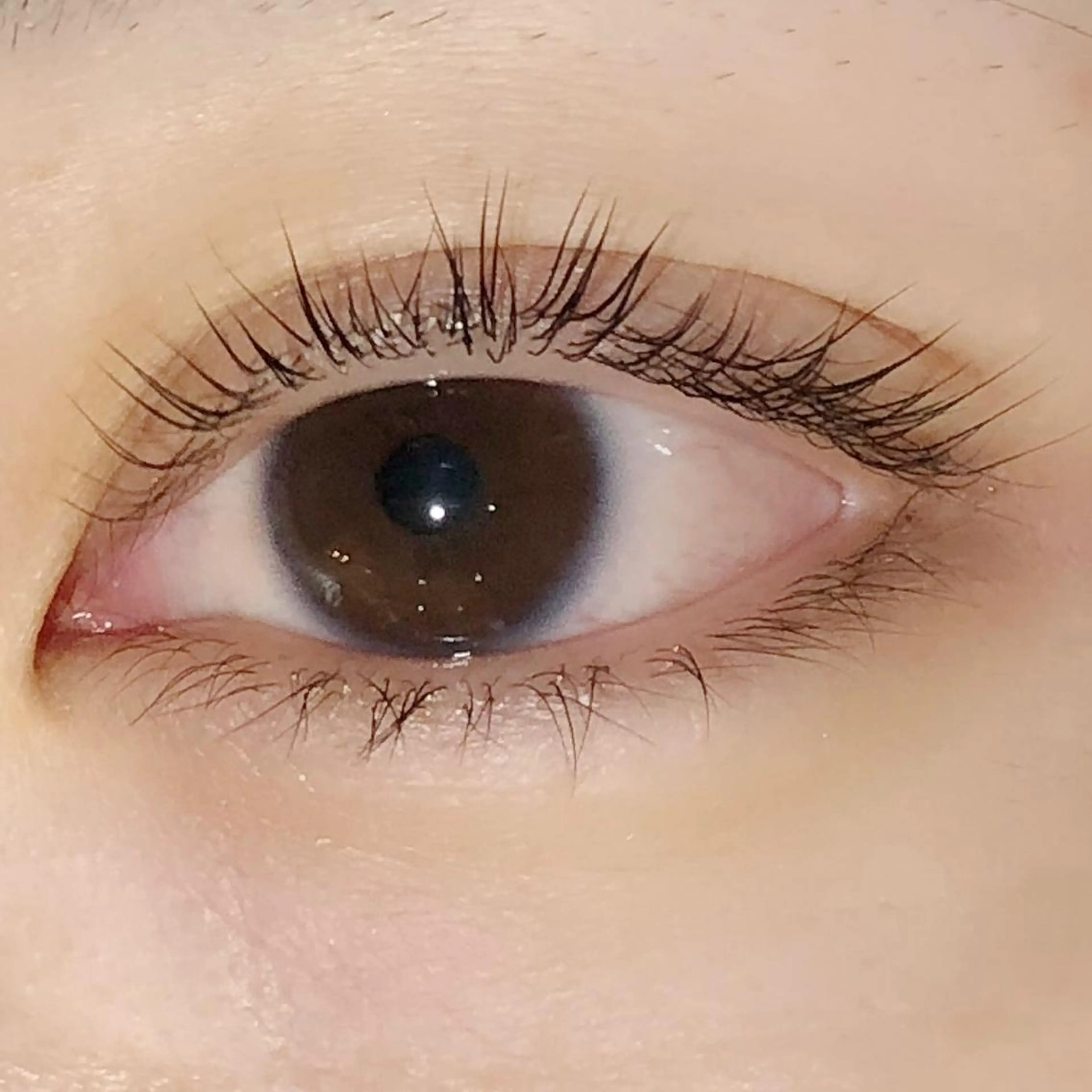 マツエク・マツパ マツパ Nest 三田のマツエク・マツパデザイン