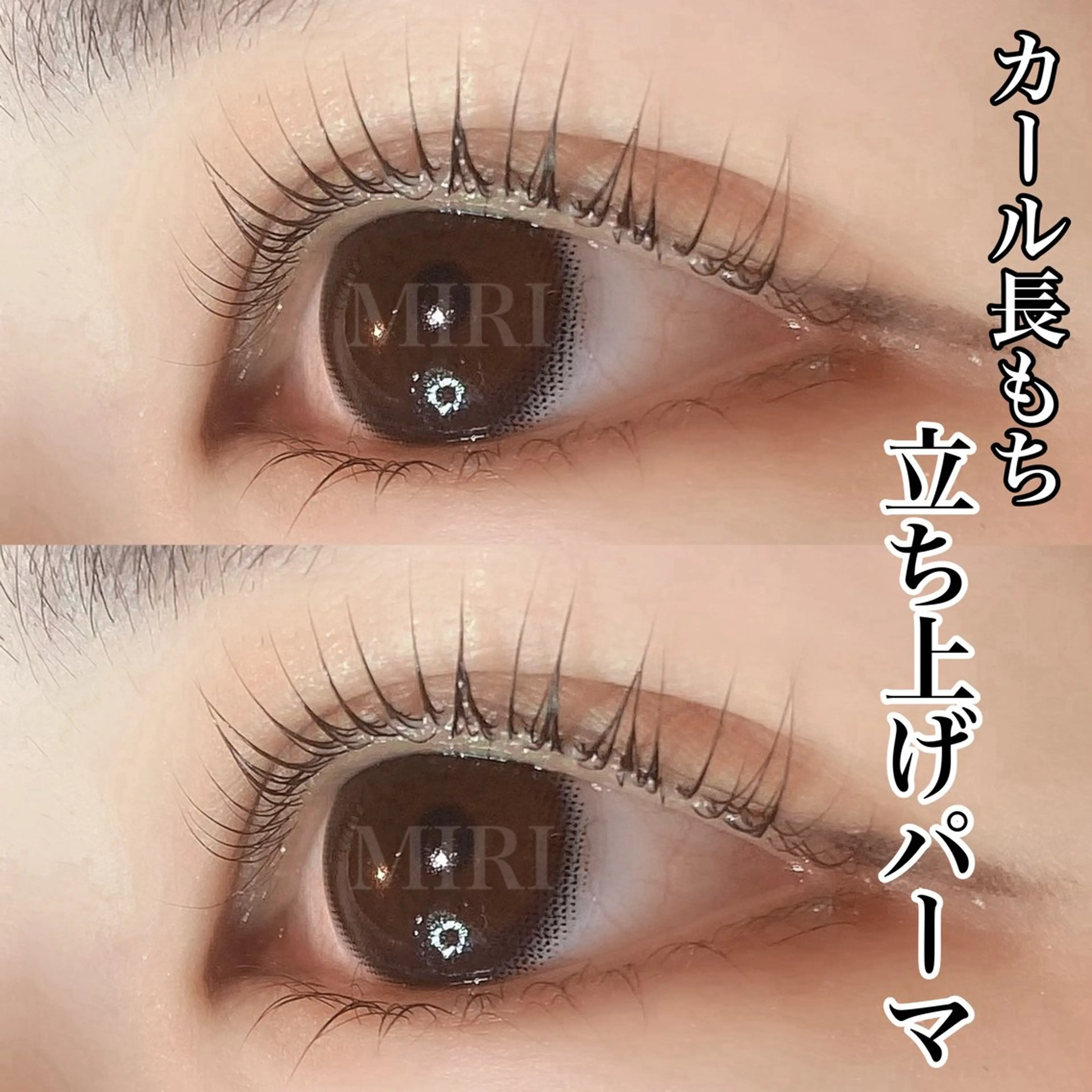 マツエク・マツパ マツパ まつげパーマ&アイブロウMIRI所属・🌷まつ毛パーマ 専門店MIRI 🌷のマツエク・マツパデザイン