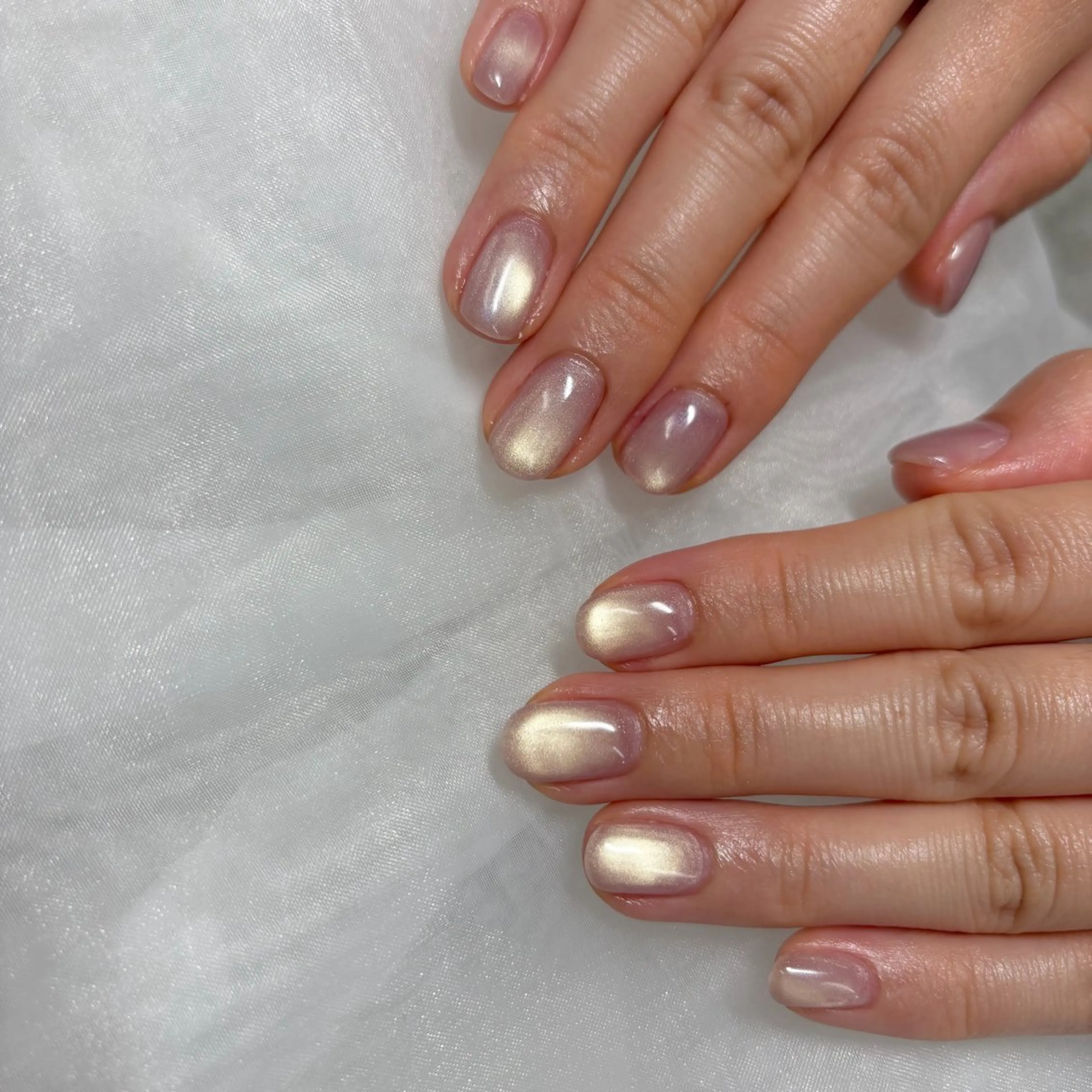 オフあり【パラジェル/ケア込み】選べるカラー80色以上★マグネットネイルの写真