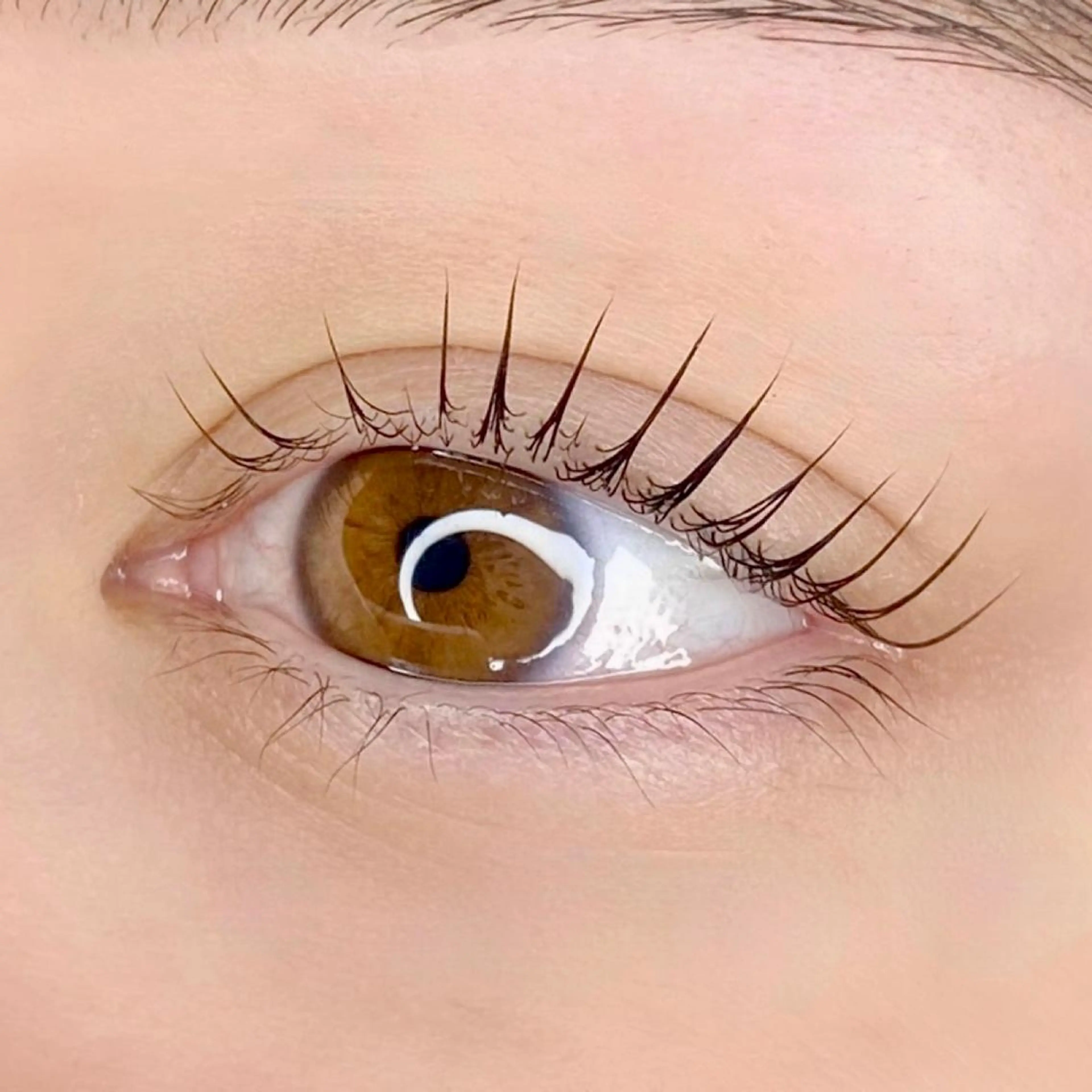 マツエク・マツパ アイブロウ パリジェンヌラッシュリフト BEMOA eyelash&eyebrow所属・BEMOA 藤本 毬のマツエク・マツパデザイン