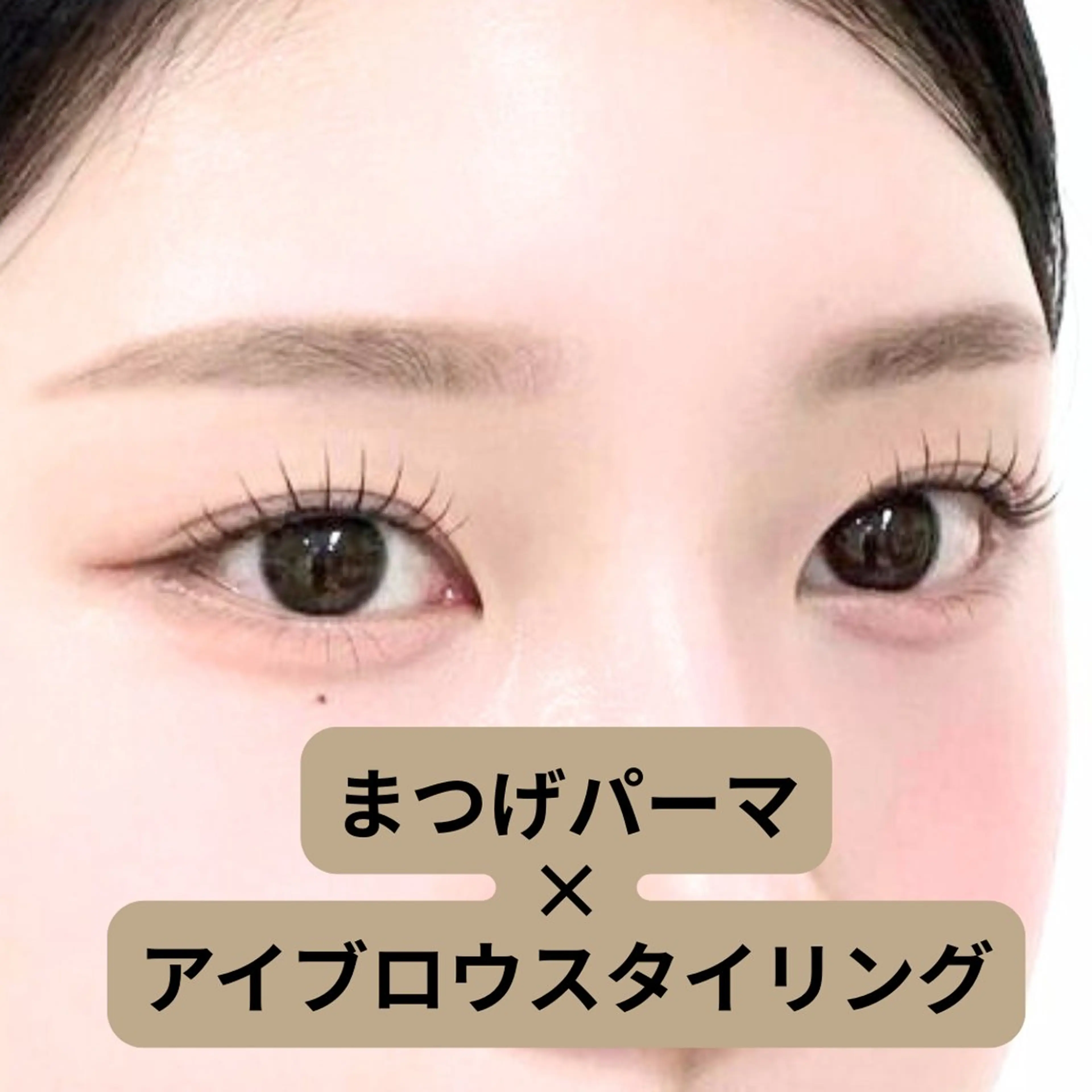 📣【同時施術練習モデル】ラッシュリフト（上）×アイブロウスタイリング※詳細必読でお願いいたします！の写真