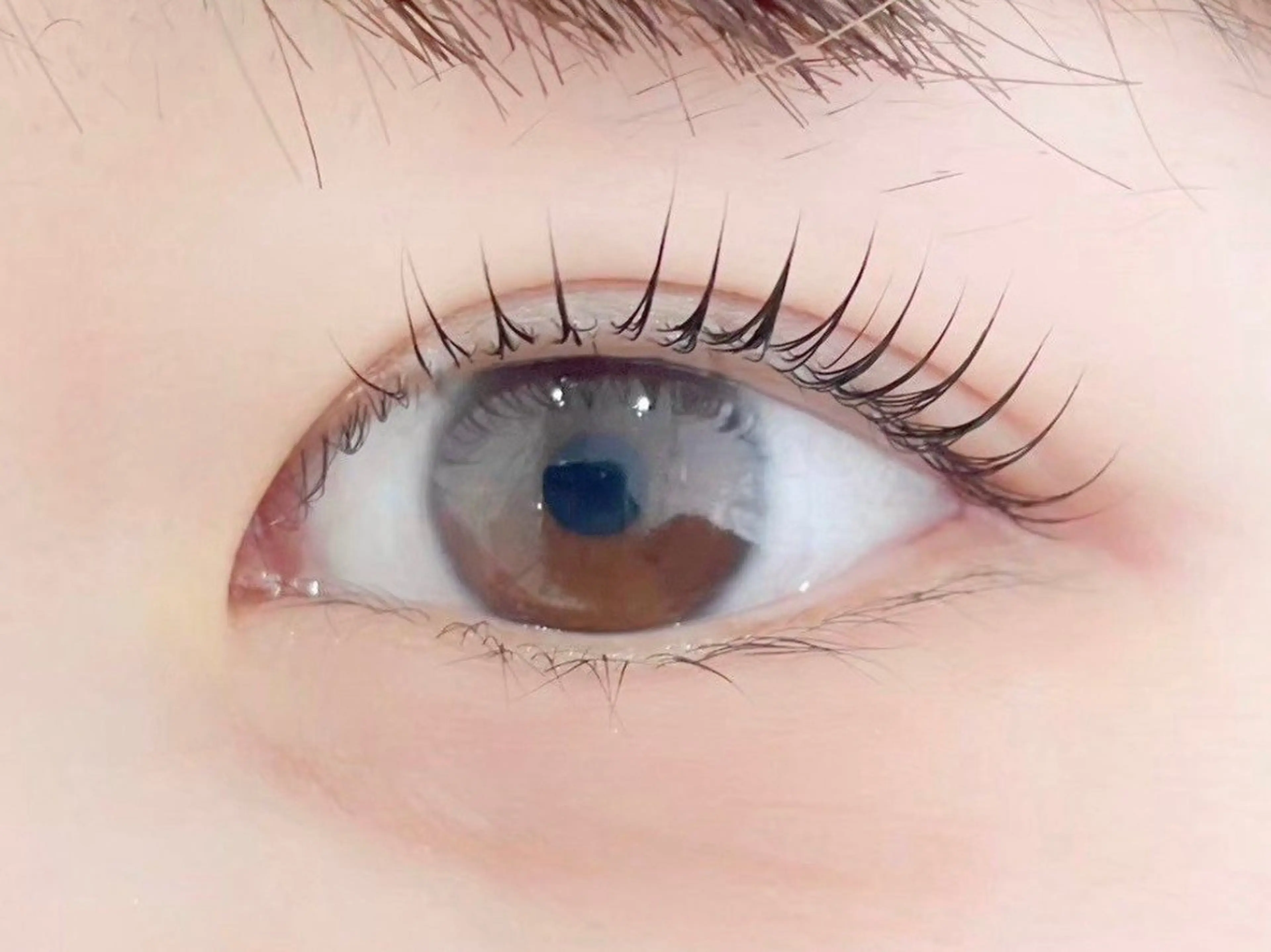 マツエク・マツパ マツパ Honey&Miel 🐣🤍AiRiのマツエク・マツパデザイン