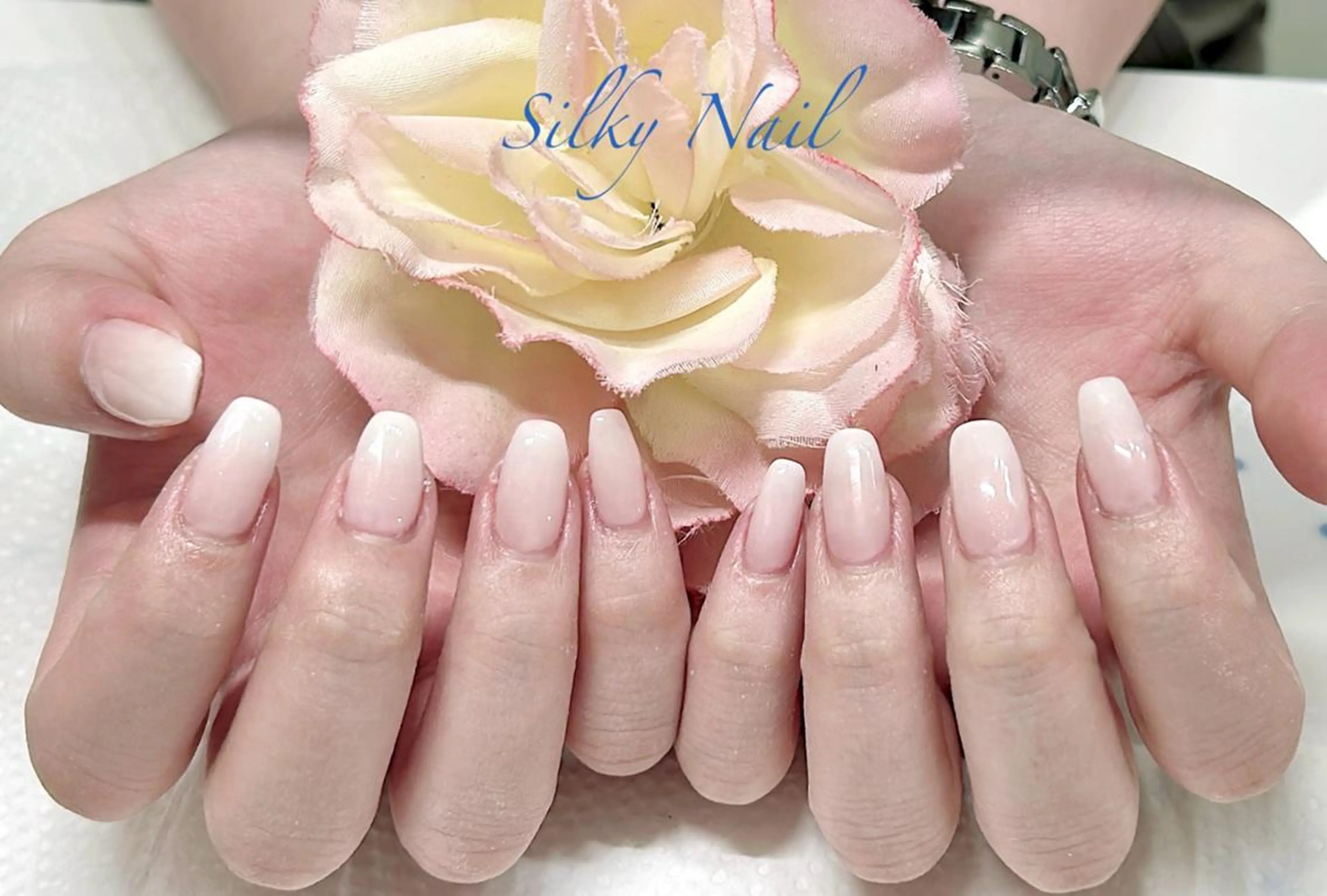 ネイル Silky_nail Sの眉毛・アイブロウイメージ