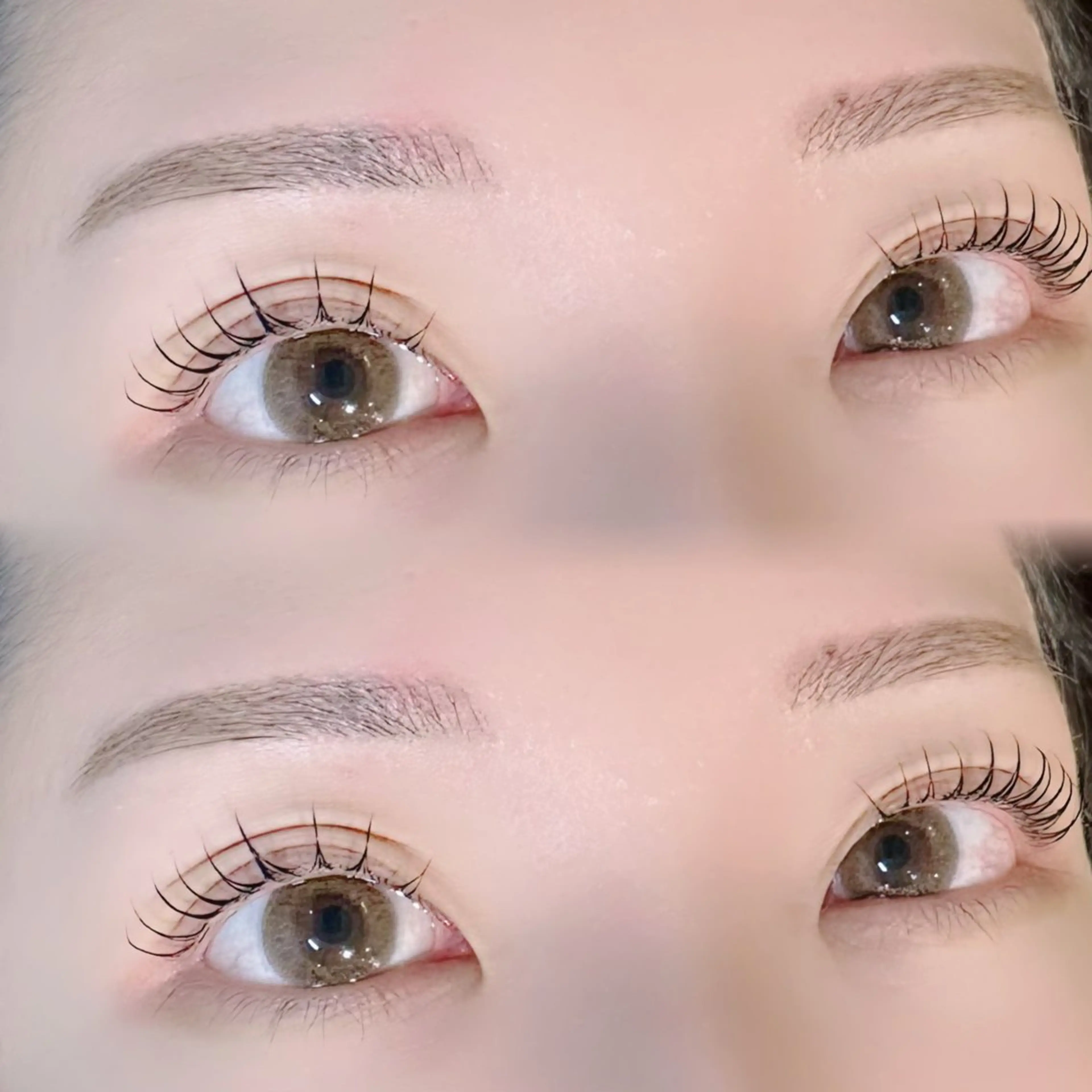 まつ毛パーマ(上)🩰 束感まつ毛 コーティング仕上げ🪽の写真