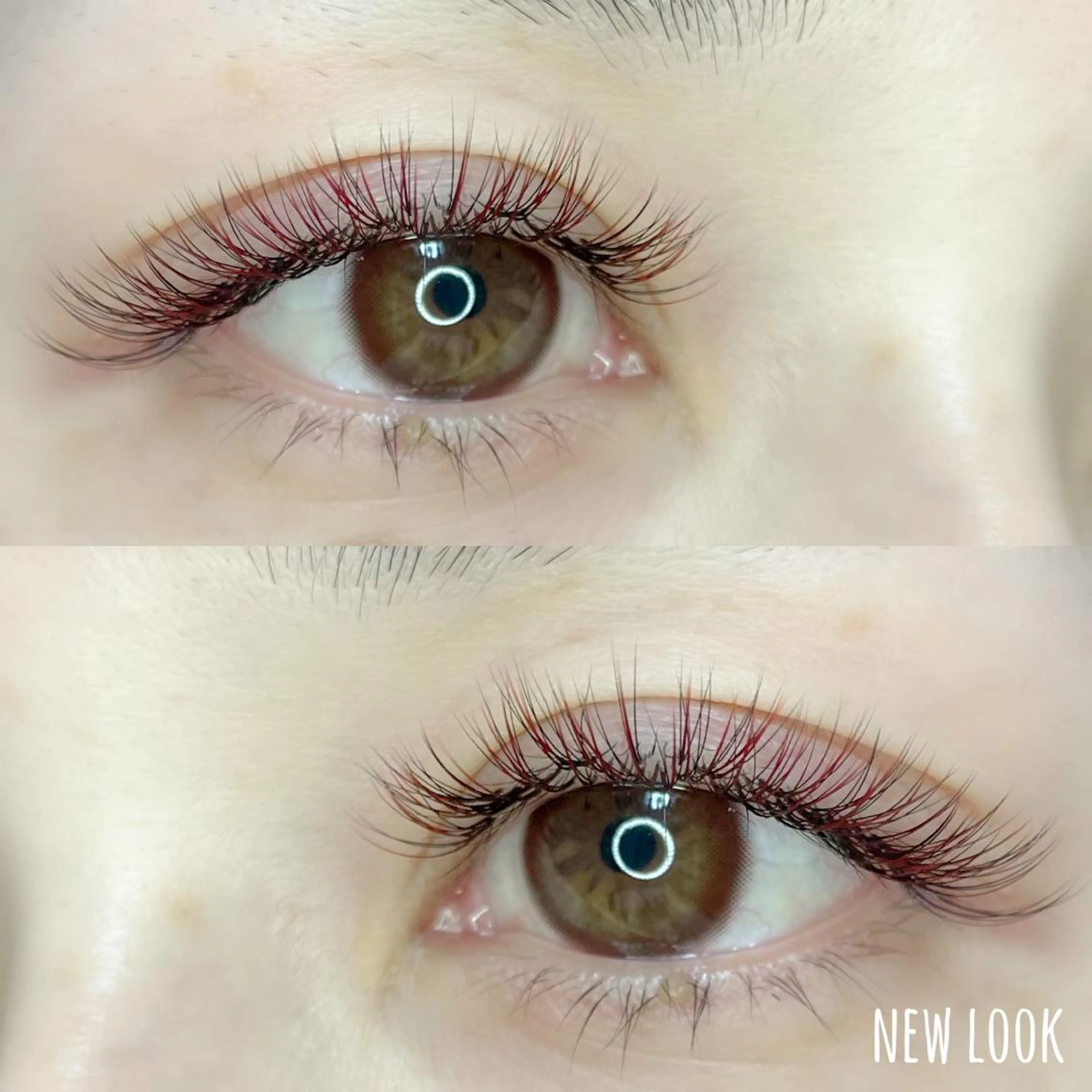 マツエク・マツパ マツエク NEW LOOKのマツエク・マツパデザイン