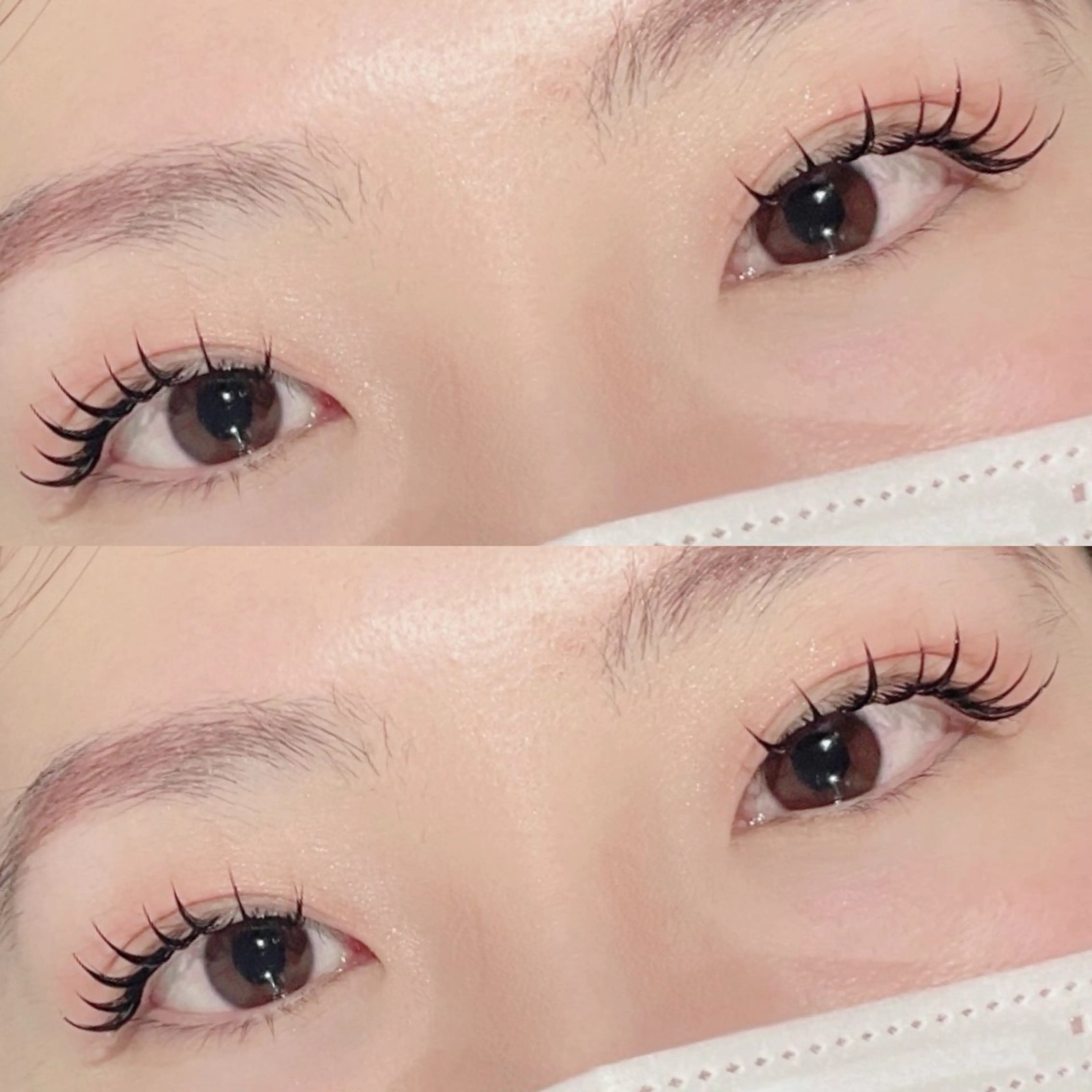 バインドロック60束(オフあり)の写真