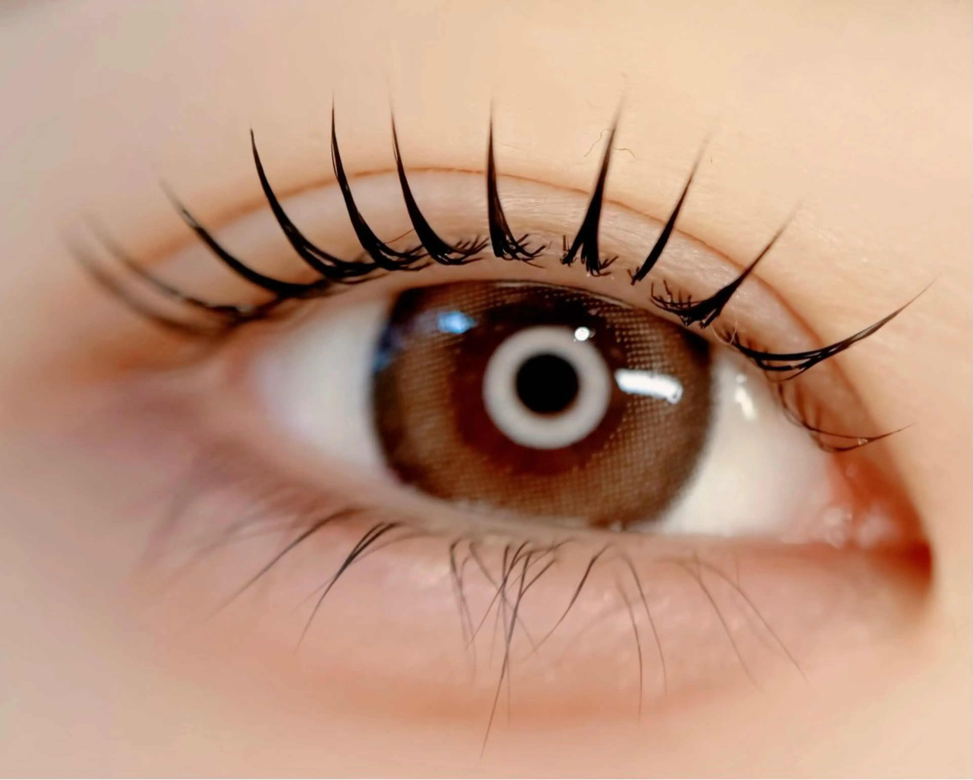 マツエク・マツパ まつげパーマ Luxiel eye博多店所属・LuXiel mana🦙のマツエク・マツパデザイン