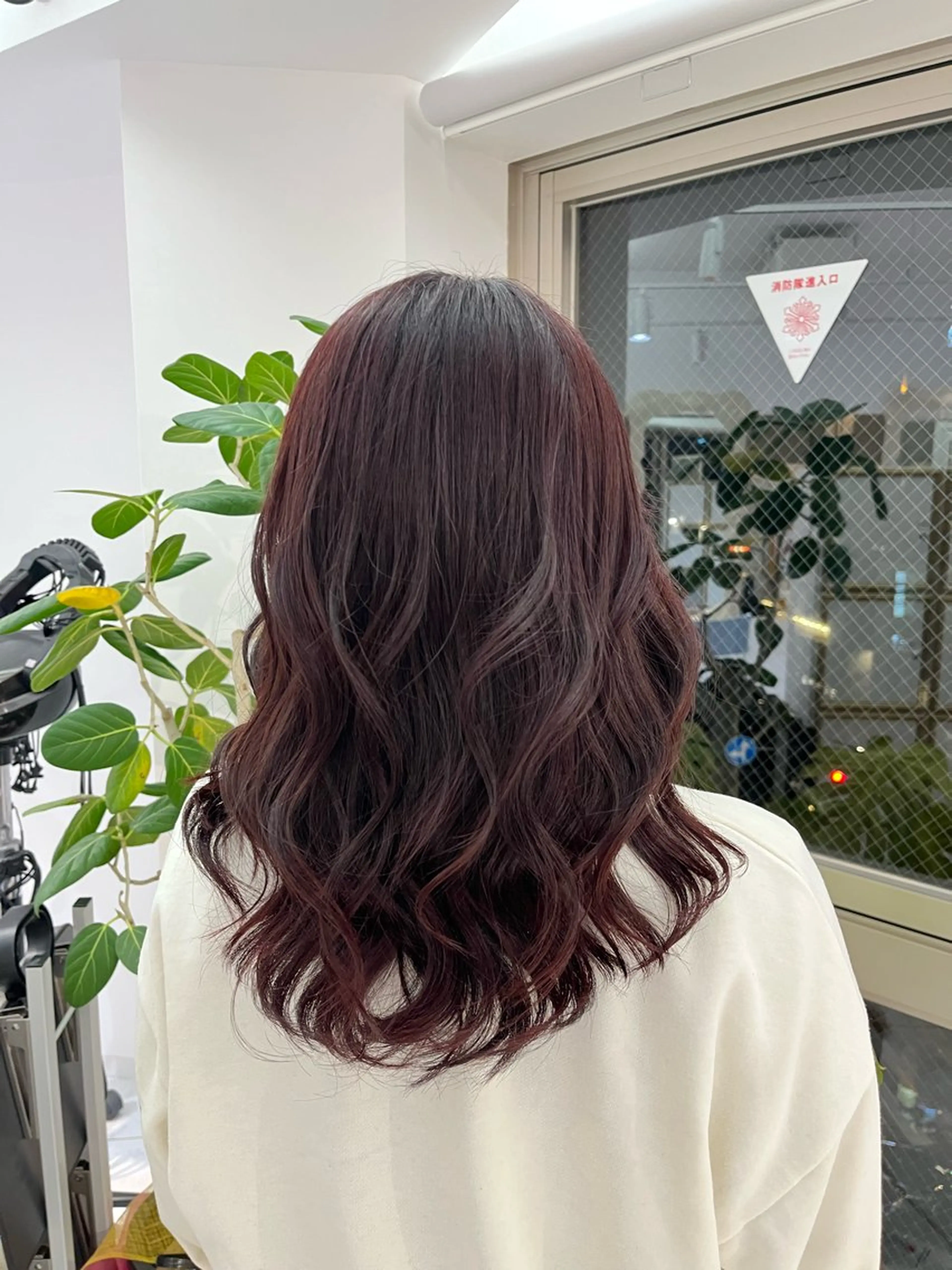 セミロング カラー レッドカラー 野中里紗/ ベージュカラーのヘアスタイル