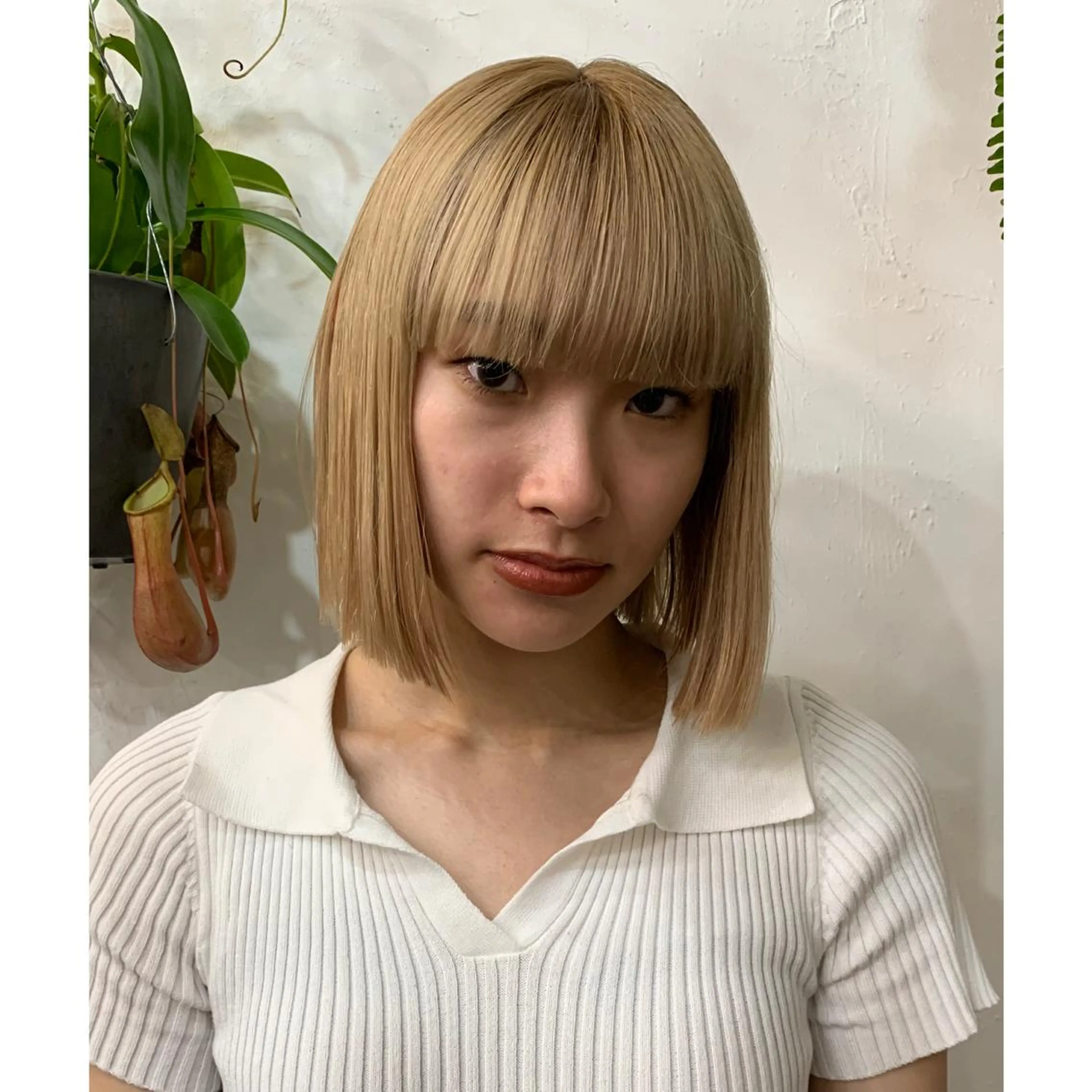 ショート カラー MEY HAIR所属・カットモデル 募集Narumi🌸のヘアスタイル