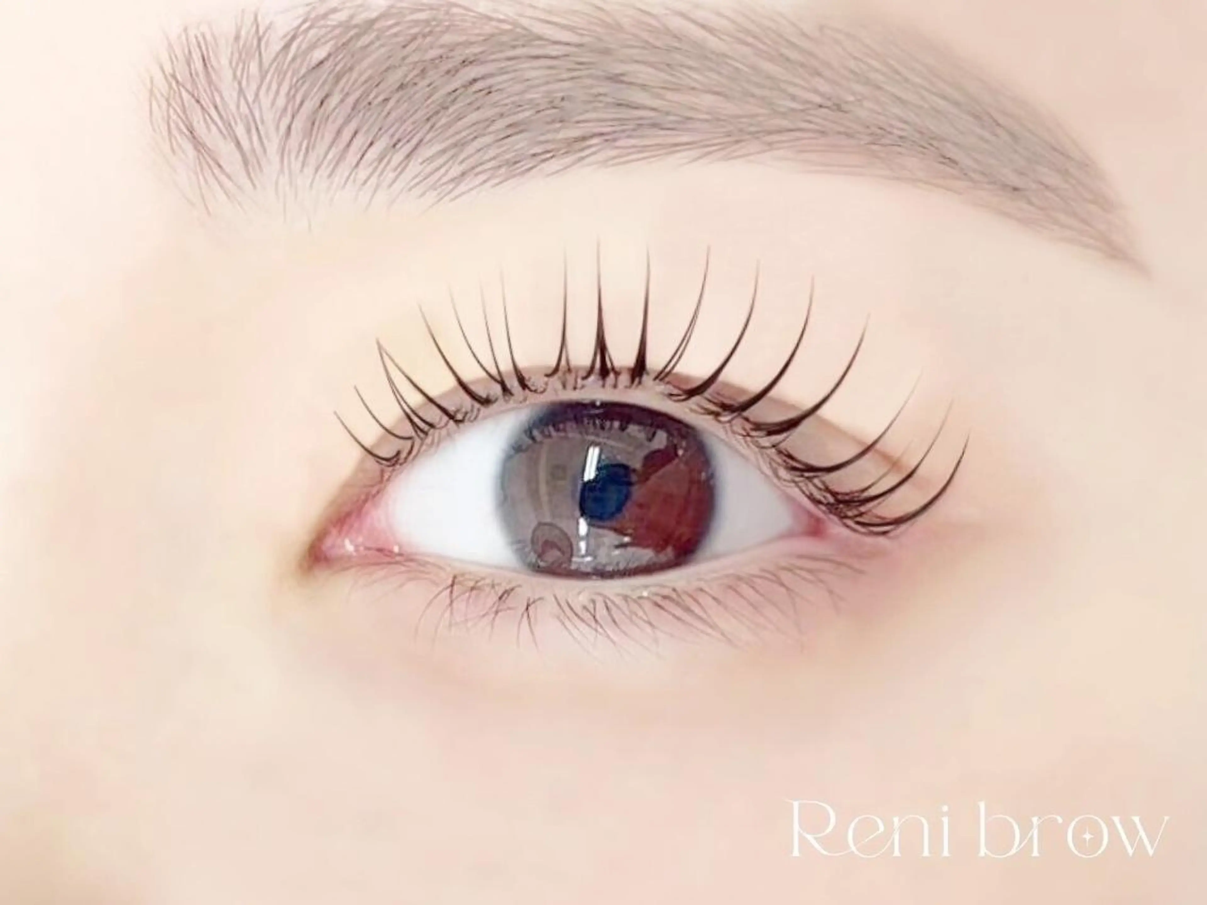 マツエク・マツパ まつげパーマ Reni brow 難波店のマツエク・マツパデザイン