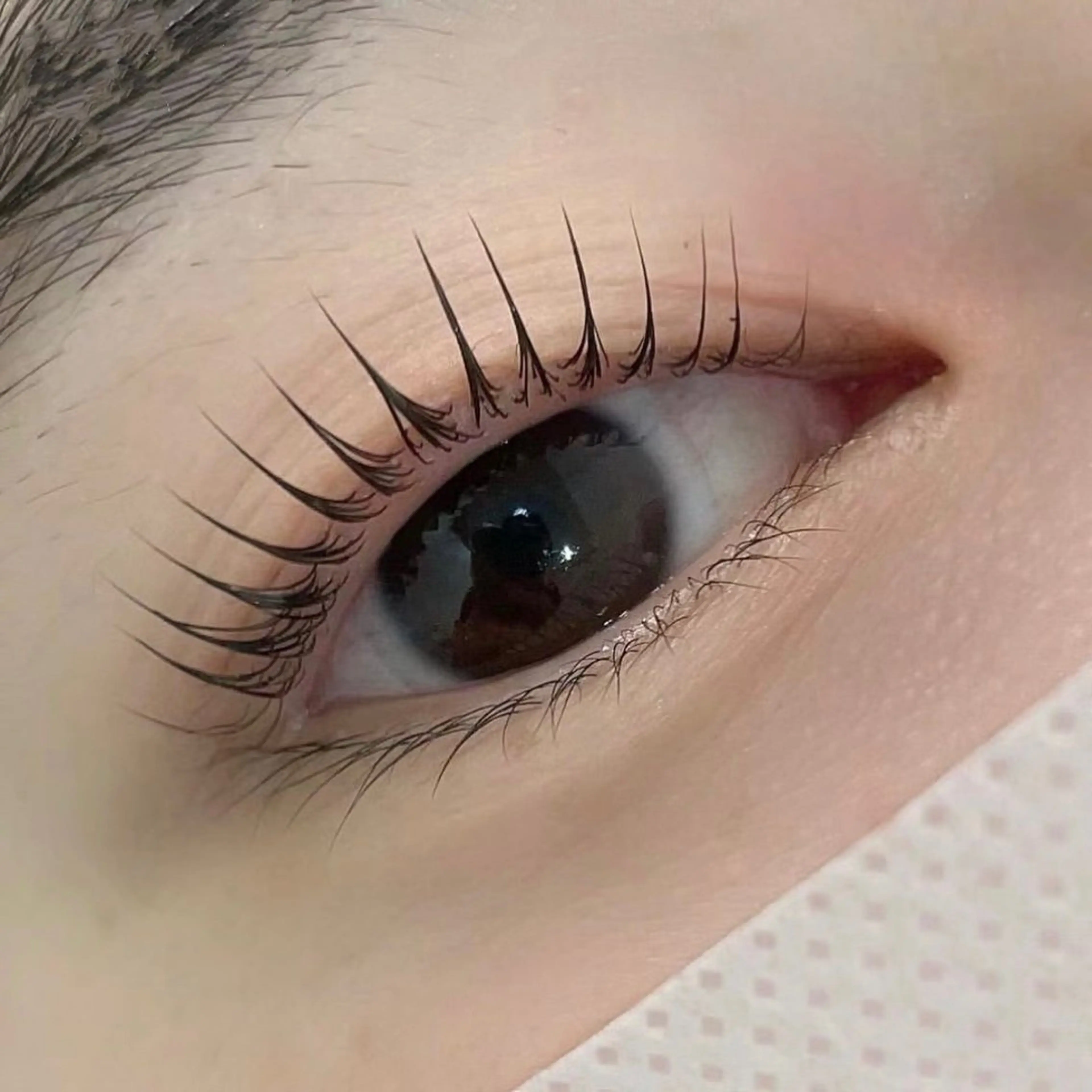マツエク・マツパ バインドロック フラットラッシュ ナチュラル パリジェンヌラッシュリフト まつげパーマ YK 美學院のネイルデザイン