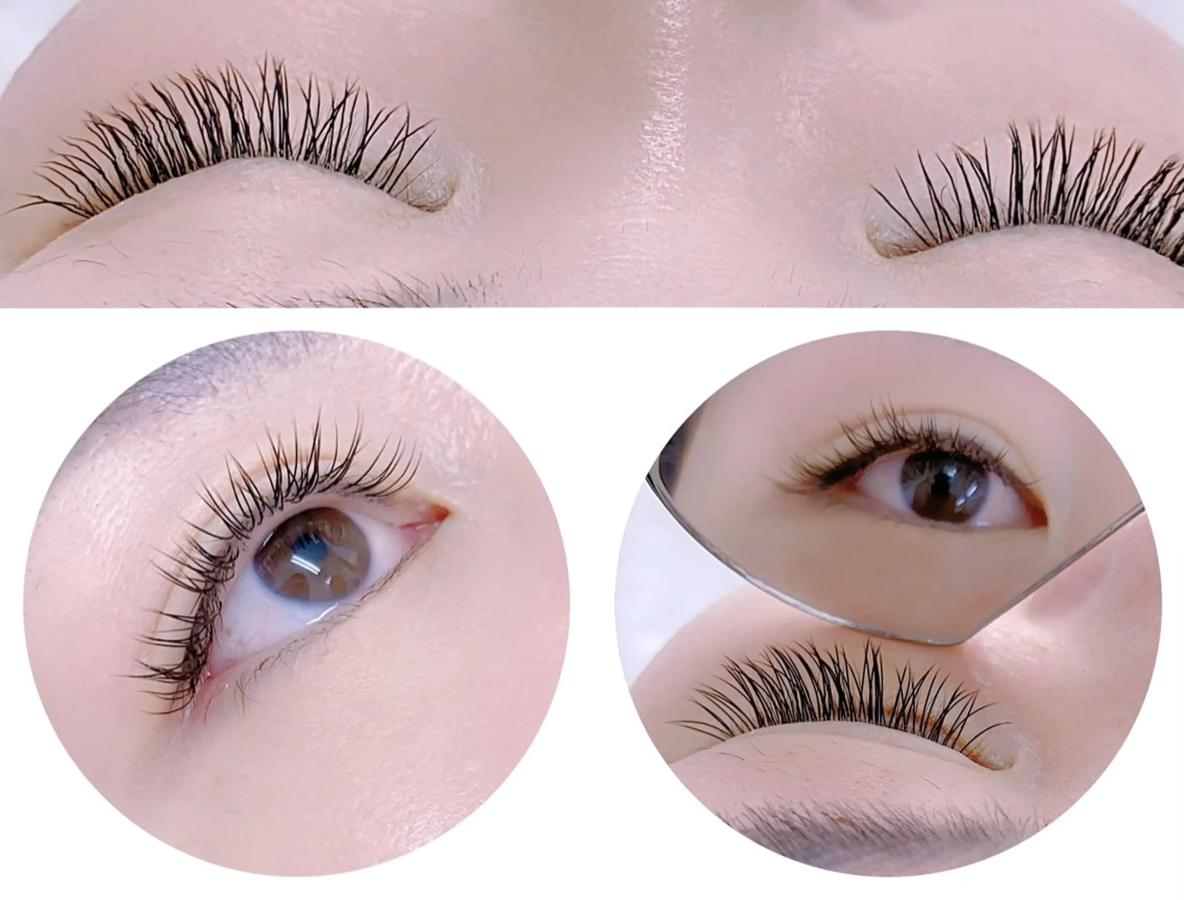 マツエク・マツパ 韓国風マツエク ワンホンマツエク 2 5のマツエク・マツパデザイン