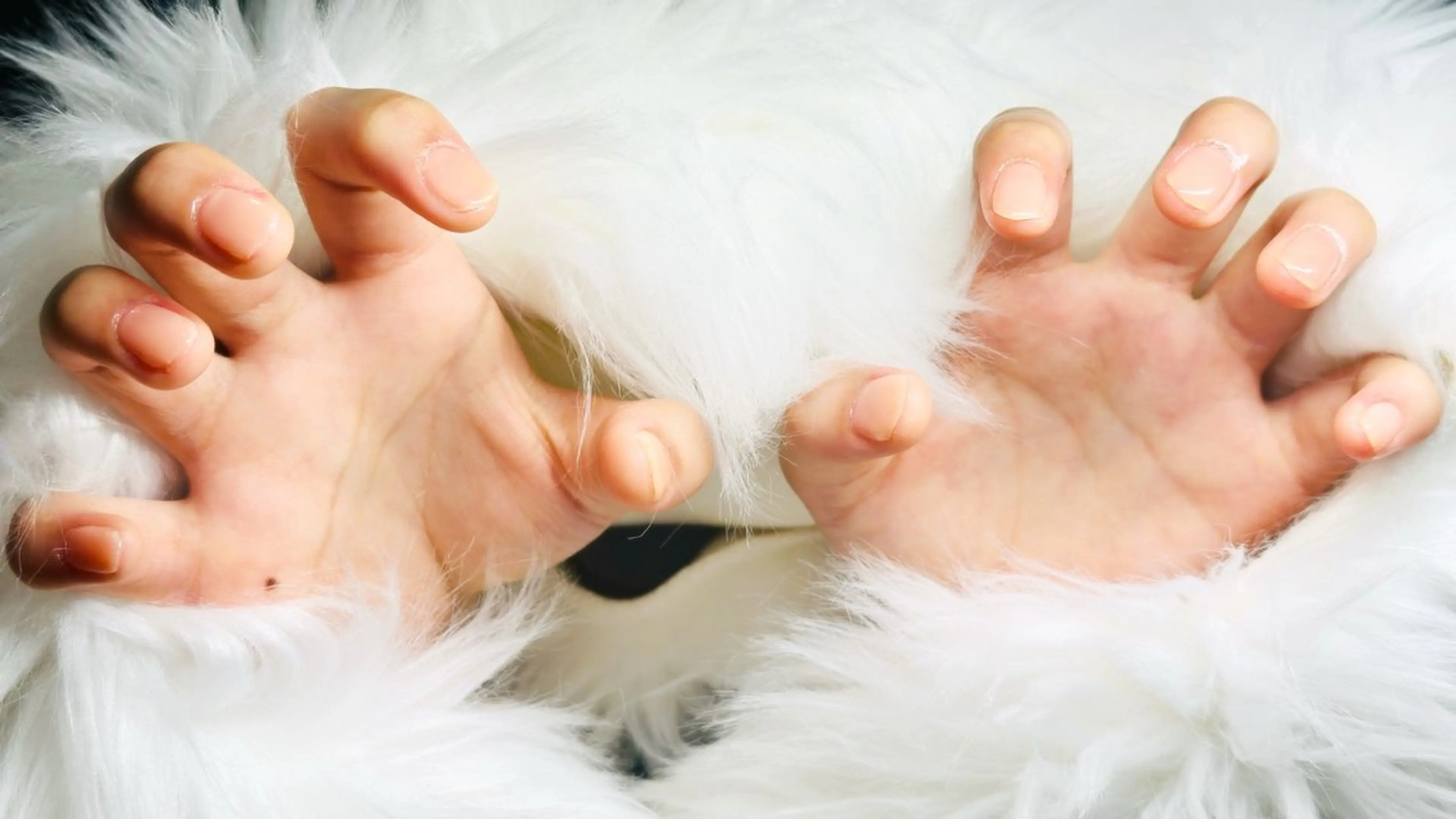 オフなし　ハンドネイル　ワンカラー（ケア込み）の写真