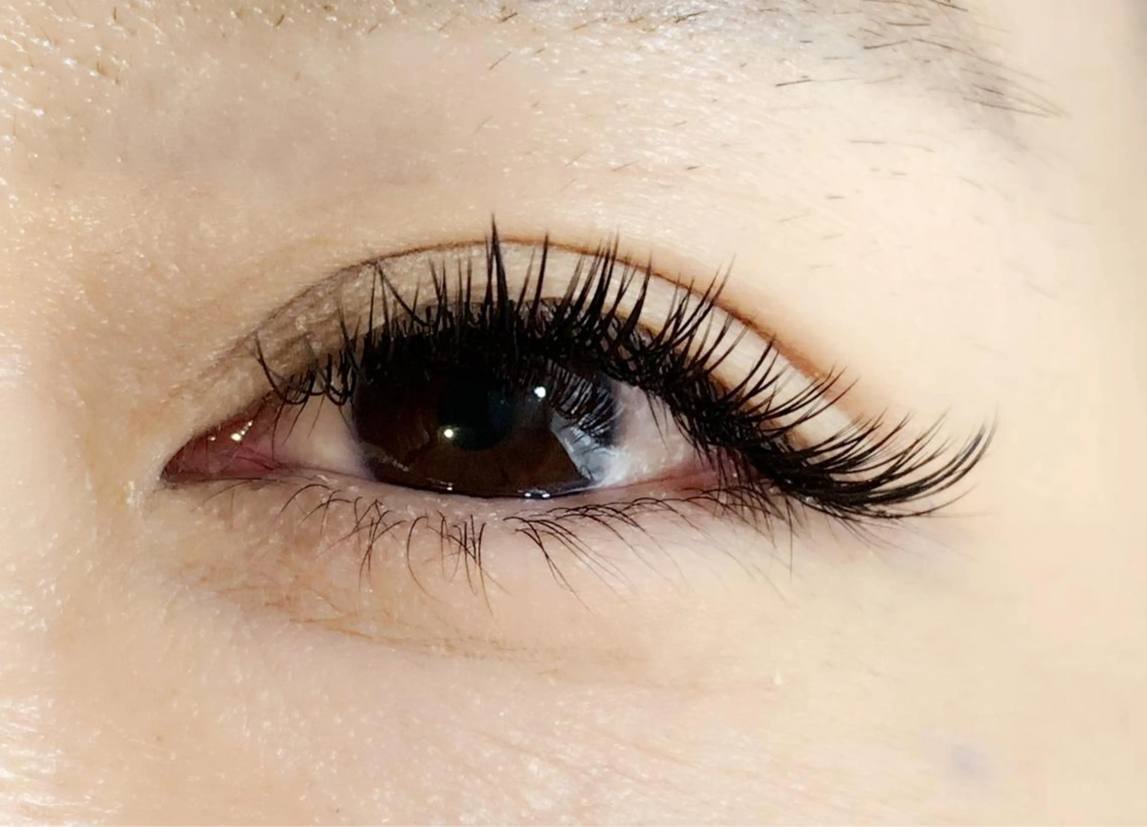 マツエク・マツパ セーブル KAINALU. eye beauty salon所属・逆まつ毛/LED/ アンドヘルシー専門のマツエク・マツパデザイン