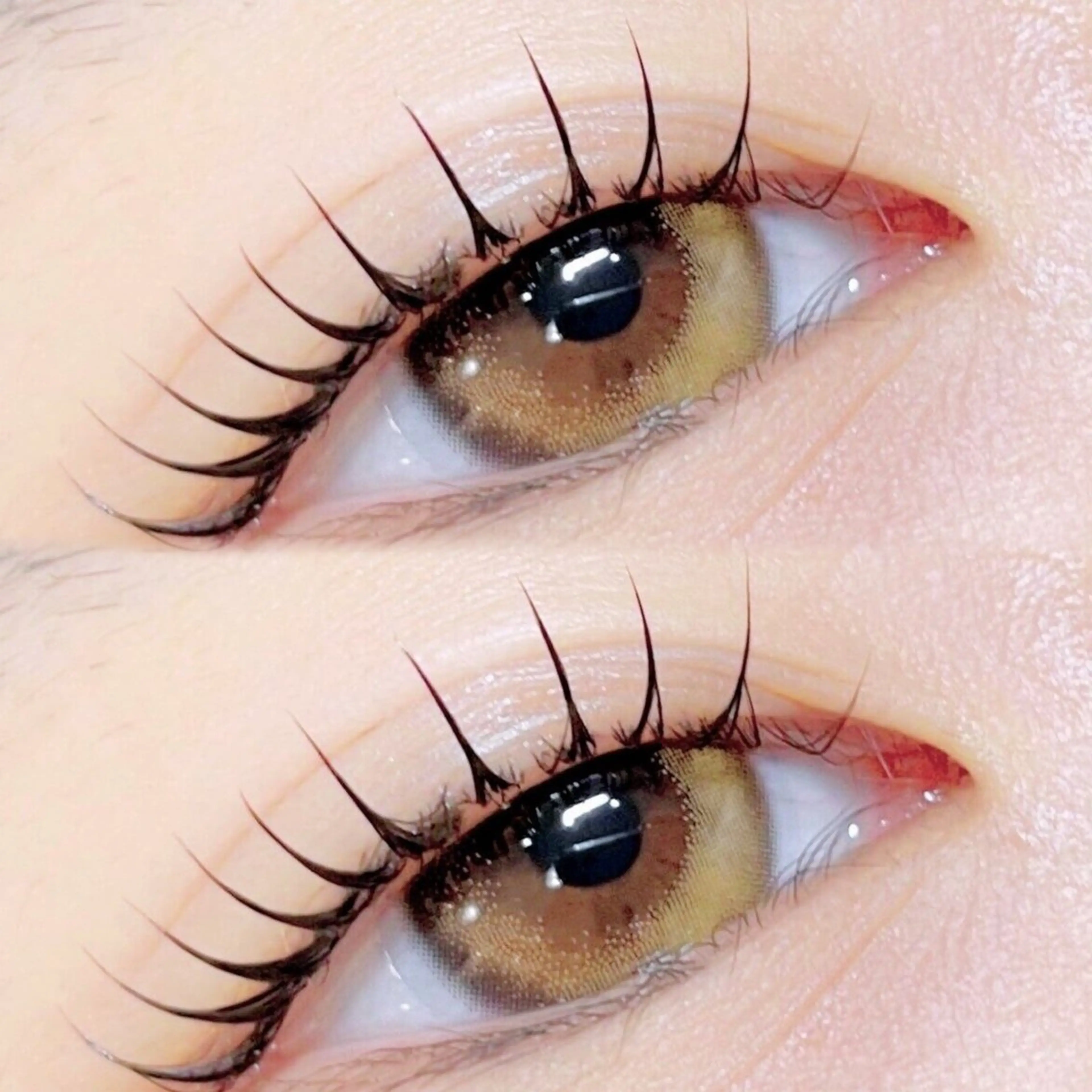 【当日予約割】束感ラッシュリフト(まつ毛パーマ)の写真