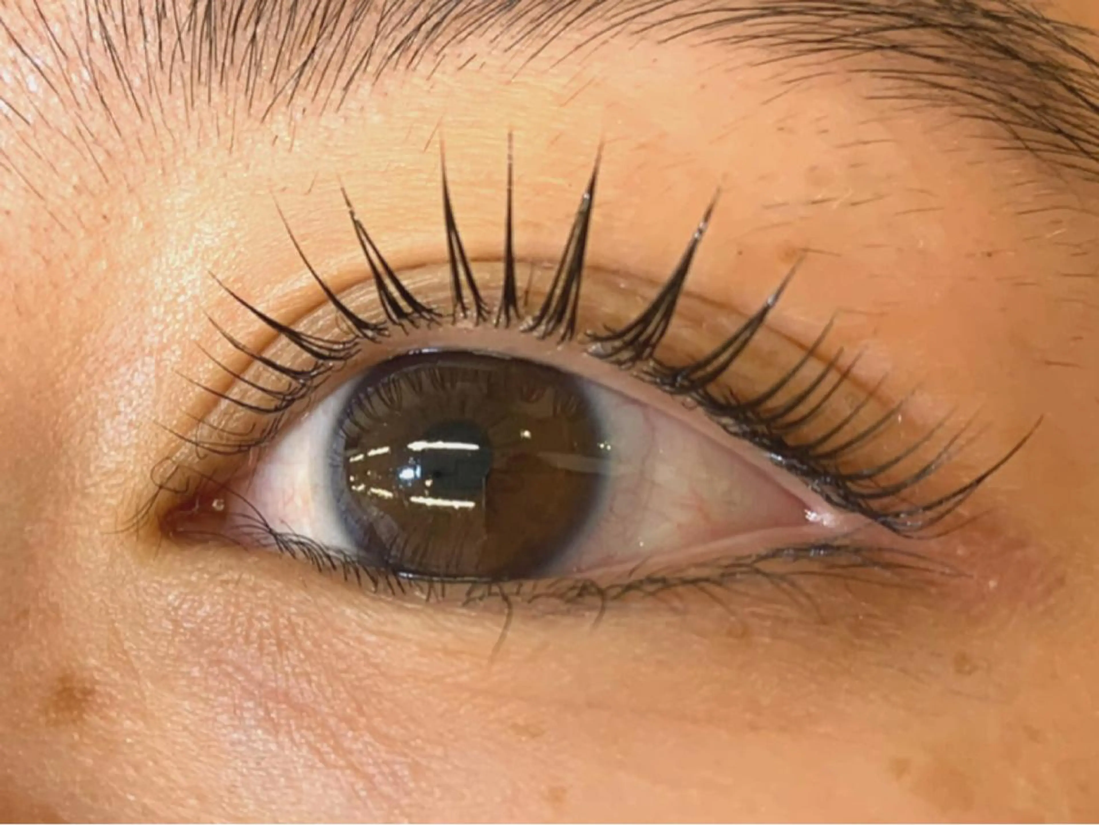 マツエク・マツパ パリジェンヌラッシュリフト 𝐉𝐎𝐋𝐈 アイリスト ❤︎のマツエク・マツパデザイン