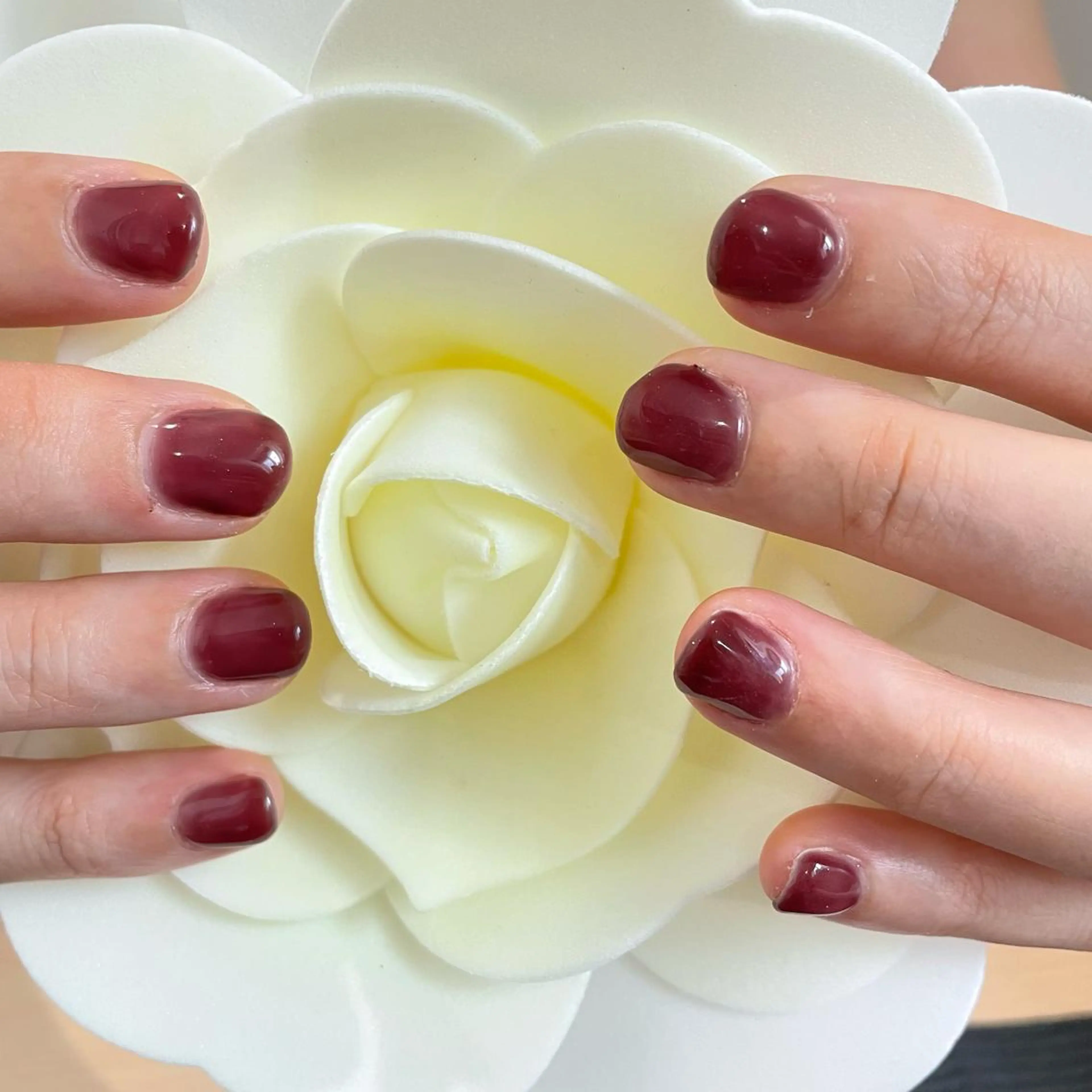 ネイル ワンカラーネイル GAL_ NAILのネイルデザイン