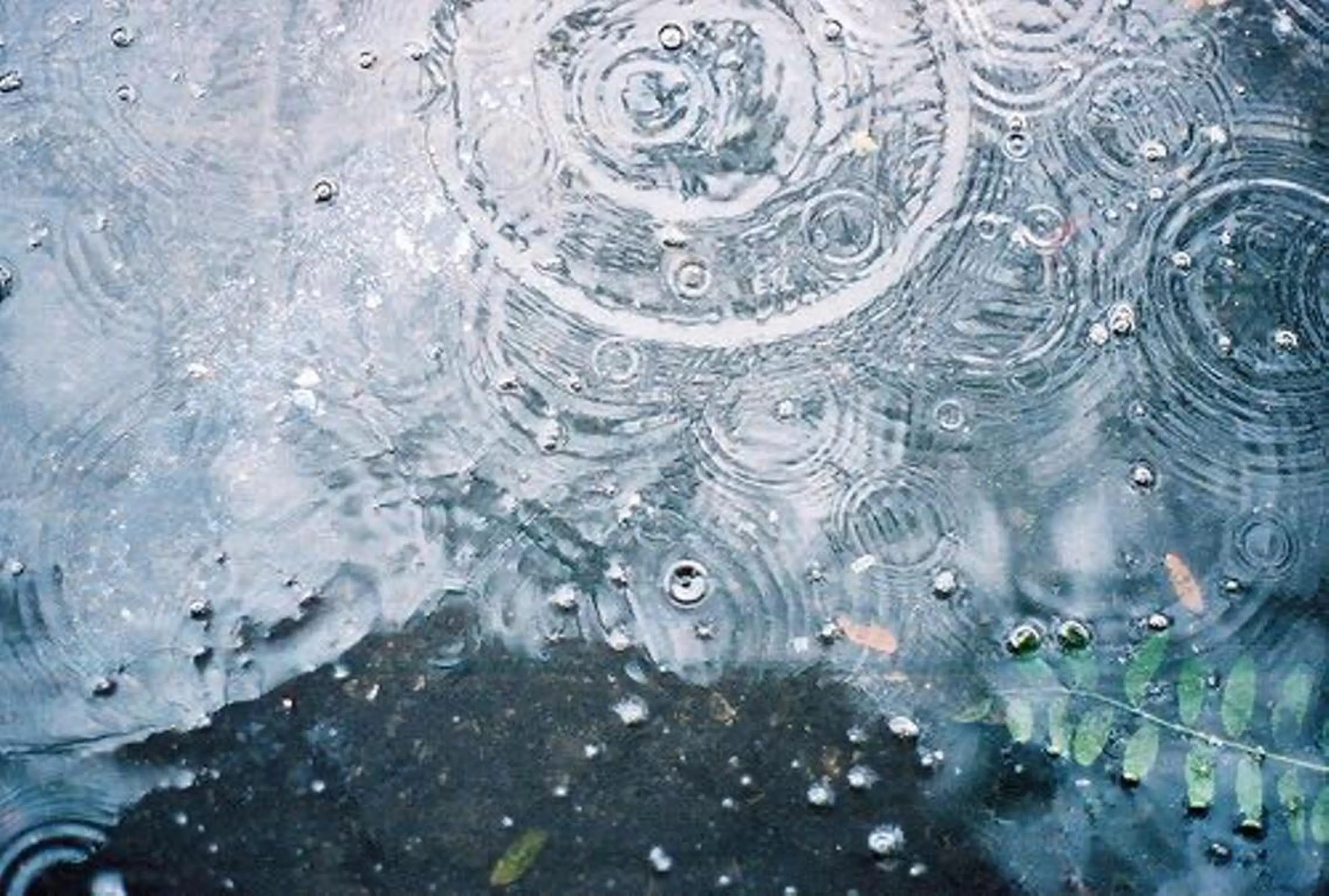 ショート カラー パーマ ヘアアレンジ メンズ キッズ ネイル マツエク・マツパ アイブロウ 学生(メンズ向け) 眉毛ワックス脱毛 顔周りカット 学生 小顔カット Chloe-クロエ- 脱毛/フェイシャルのエステ・リラクイメージ