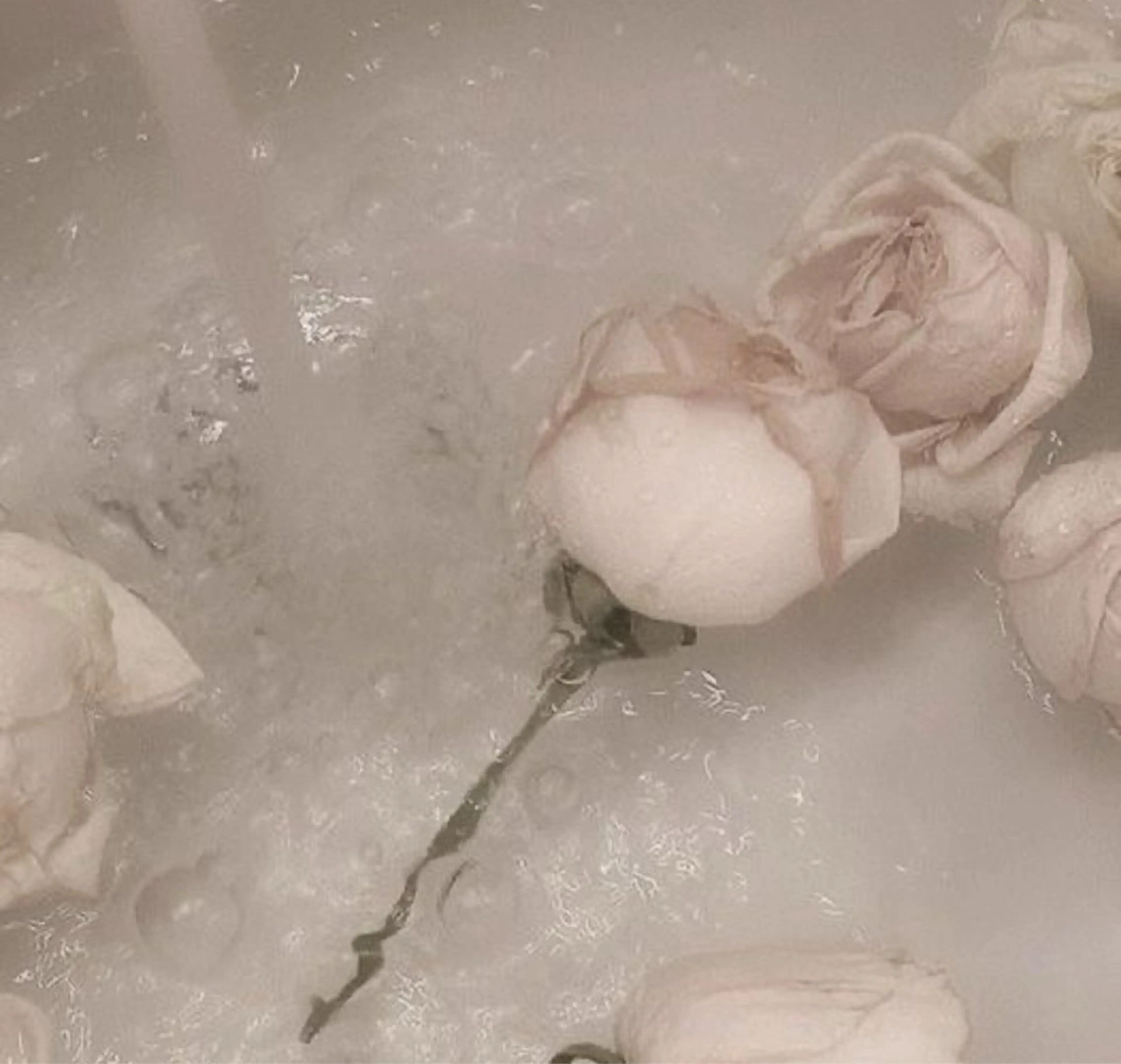 TAKAHASHI 🎀✨韓国風/束感のマツエク・マツパデザイン