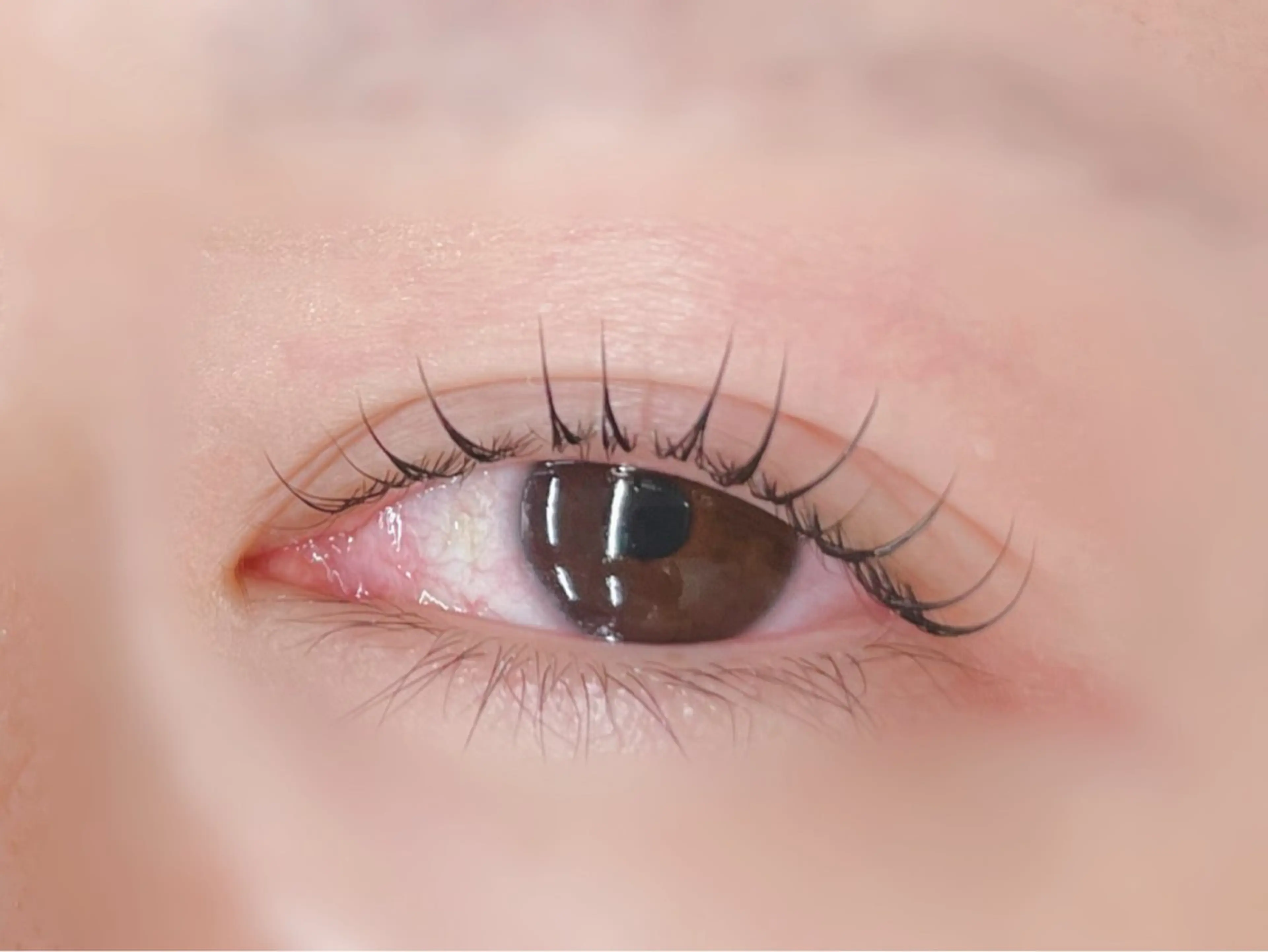 マツエク・マツパ マツパ 🪼ひとみ🪼半個室 Amour菊川店のマツエク・マツパデザイン