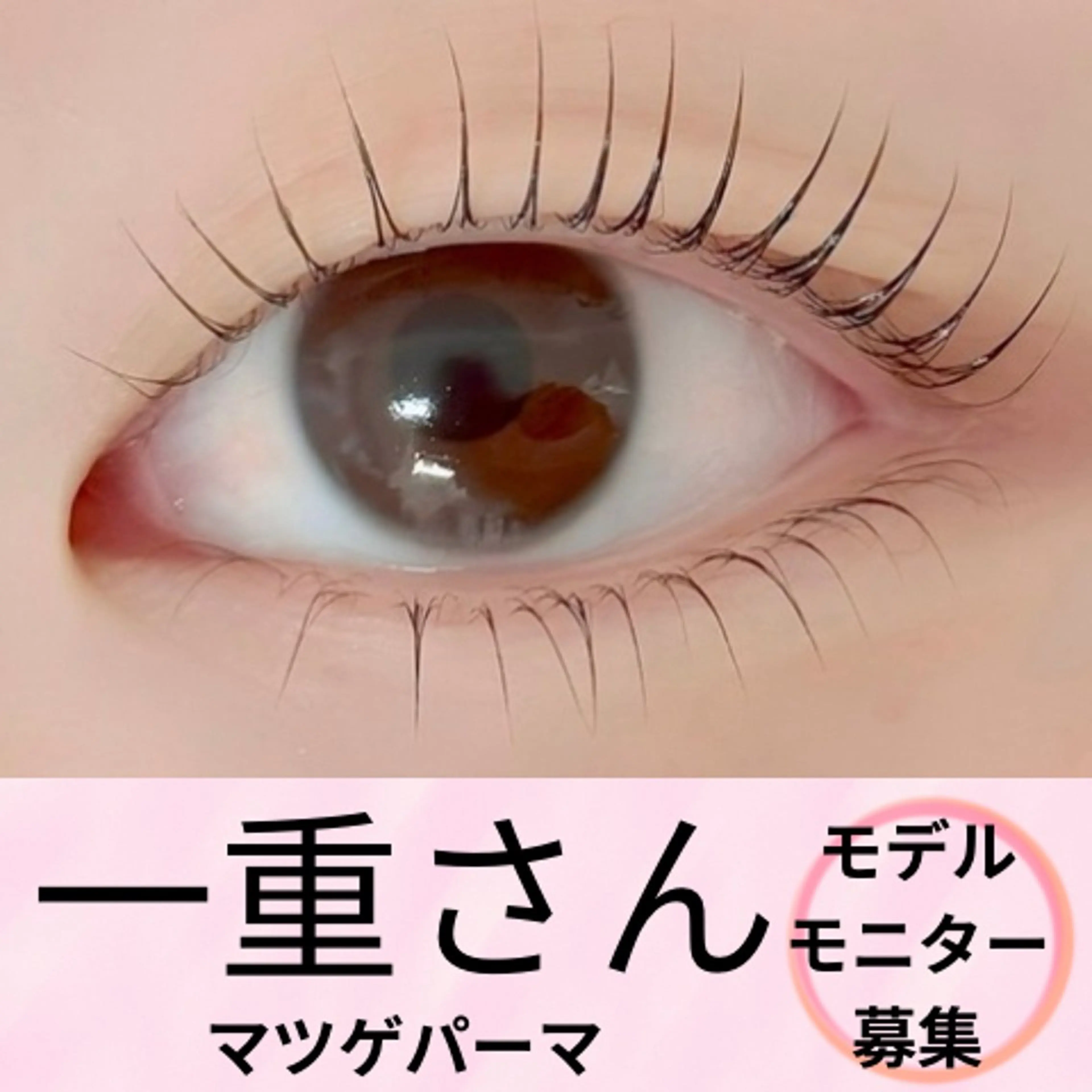 【❣️一重瞼さん限定】マツゲパーマ/デザイン要相談/☑︎49歳以下/📸🎥🆗の写真