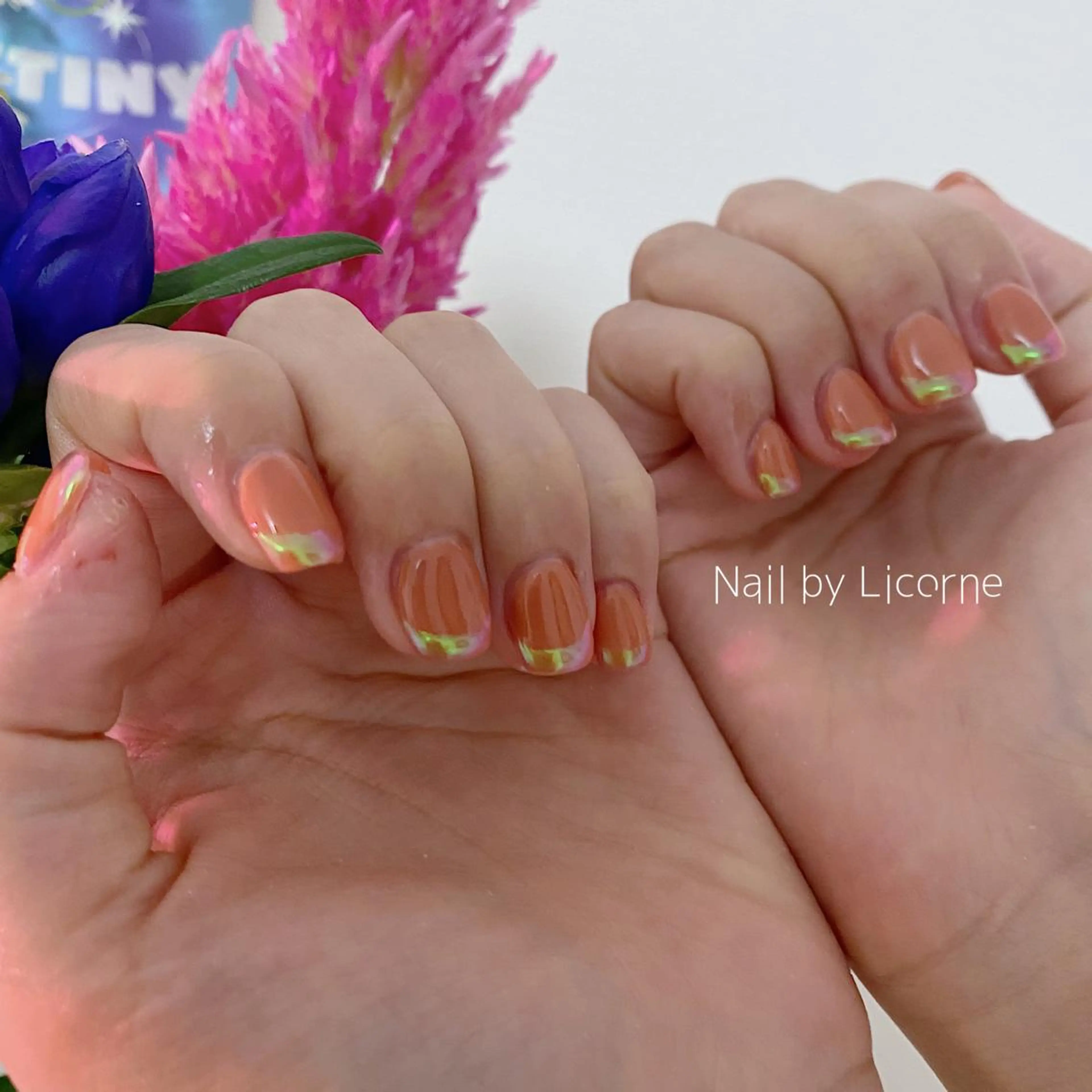 ネイル アートネイル オーロラネイル フレンチネイル 氷ネイル・うるうるネイル マグネットネイル ハンドネイル Nail by Licorneのネイルデザイン