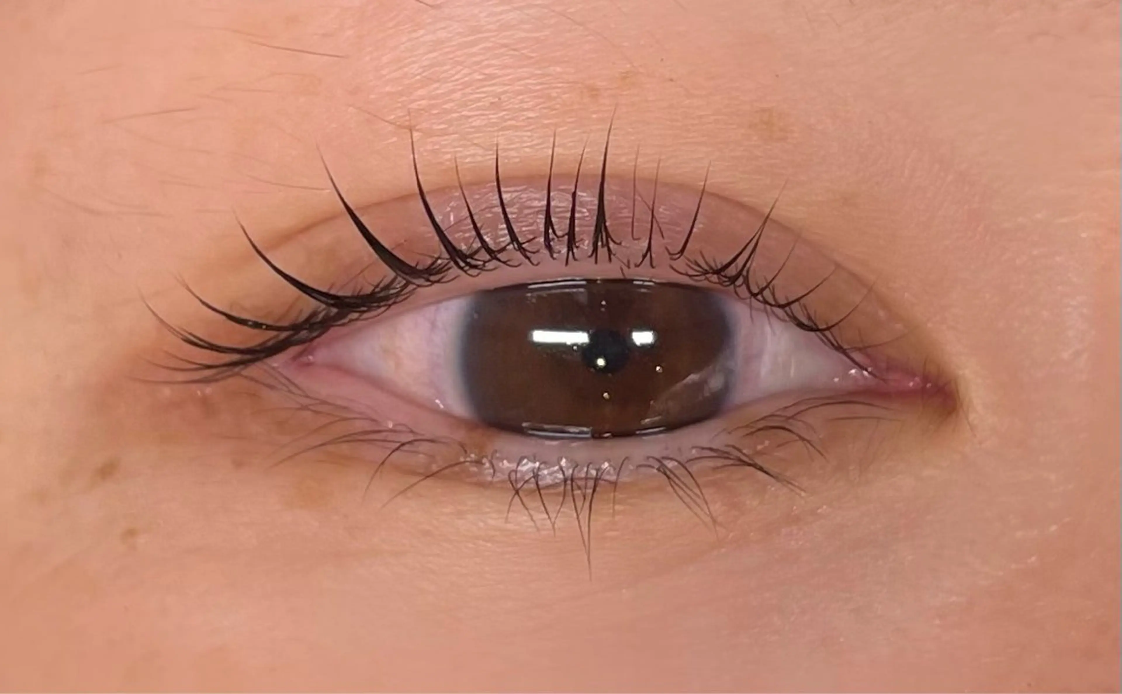 マツエク・マツパ eyelash salon　teraのマツエク・マツパデザイン