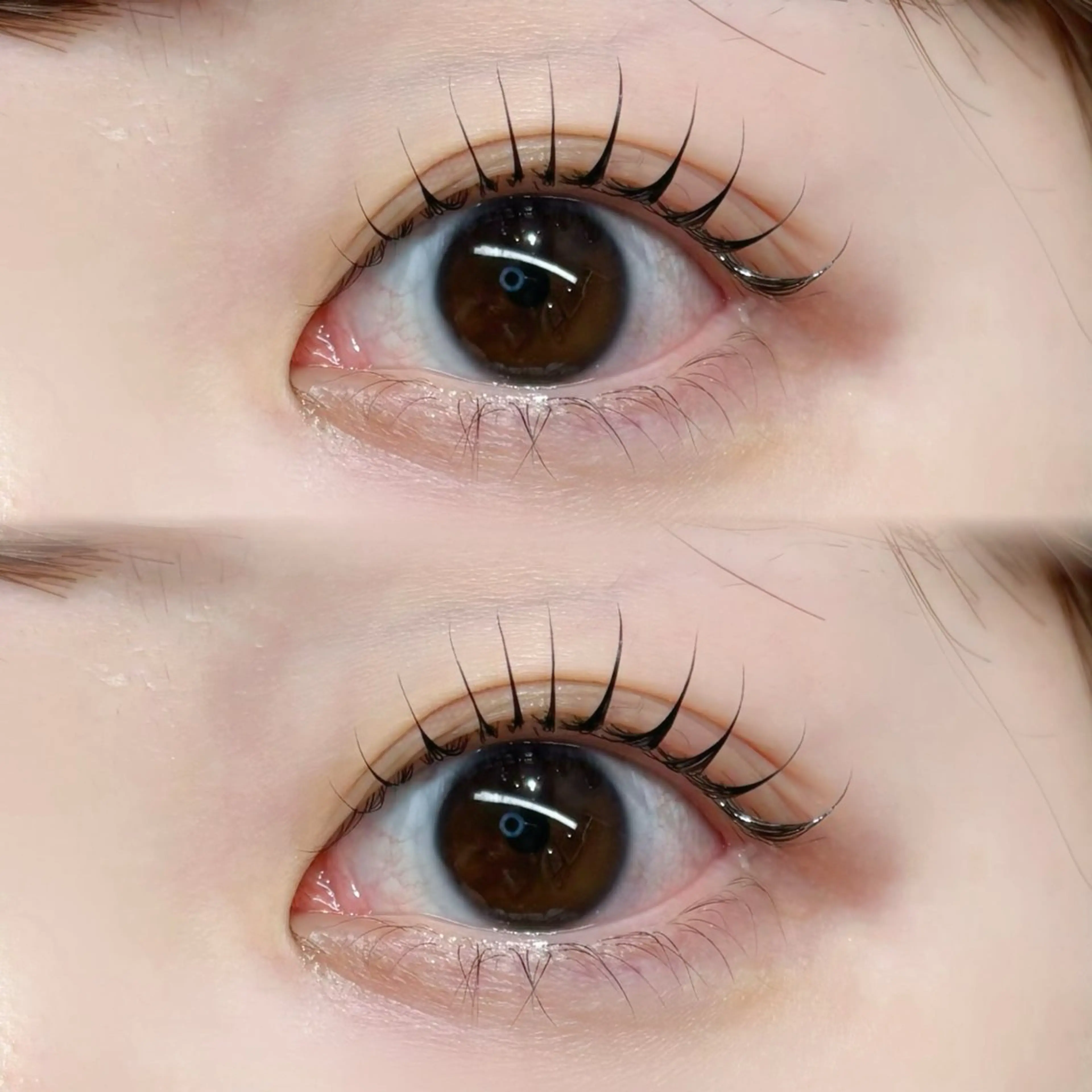 マツエク・マツパ 一重×まつ毛パーマ GALLARIA Eye　design所属・佐々木 奏のマツエク・マツパデザイン