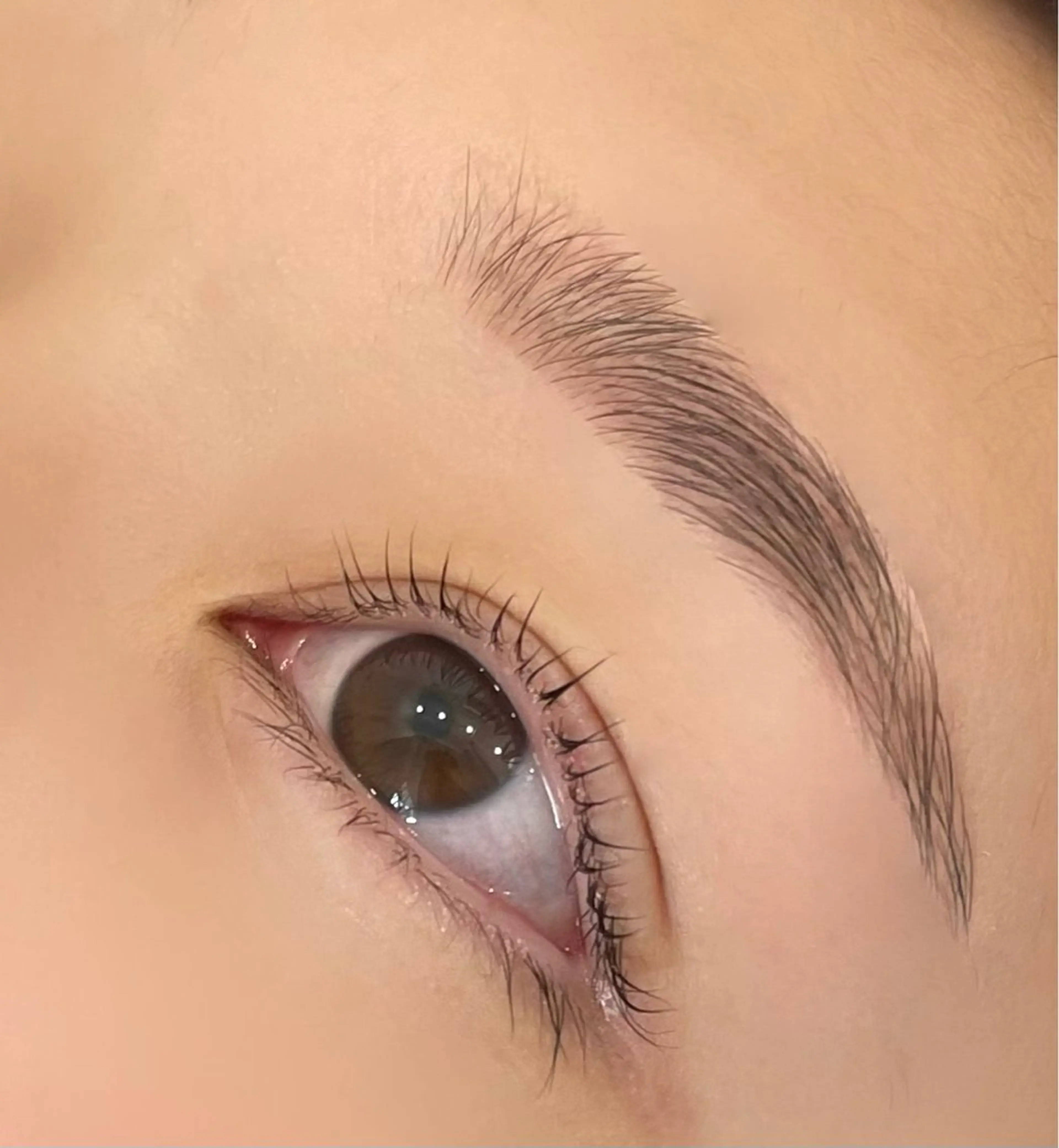 🌼新規🌼眉毛ワックス＋まつ毛パーマの写真