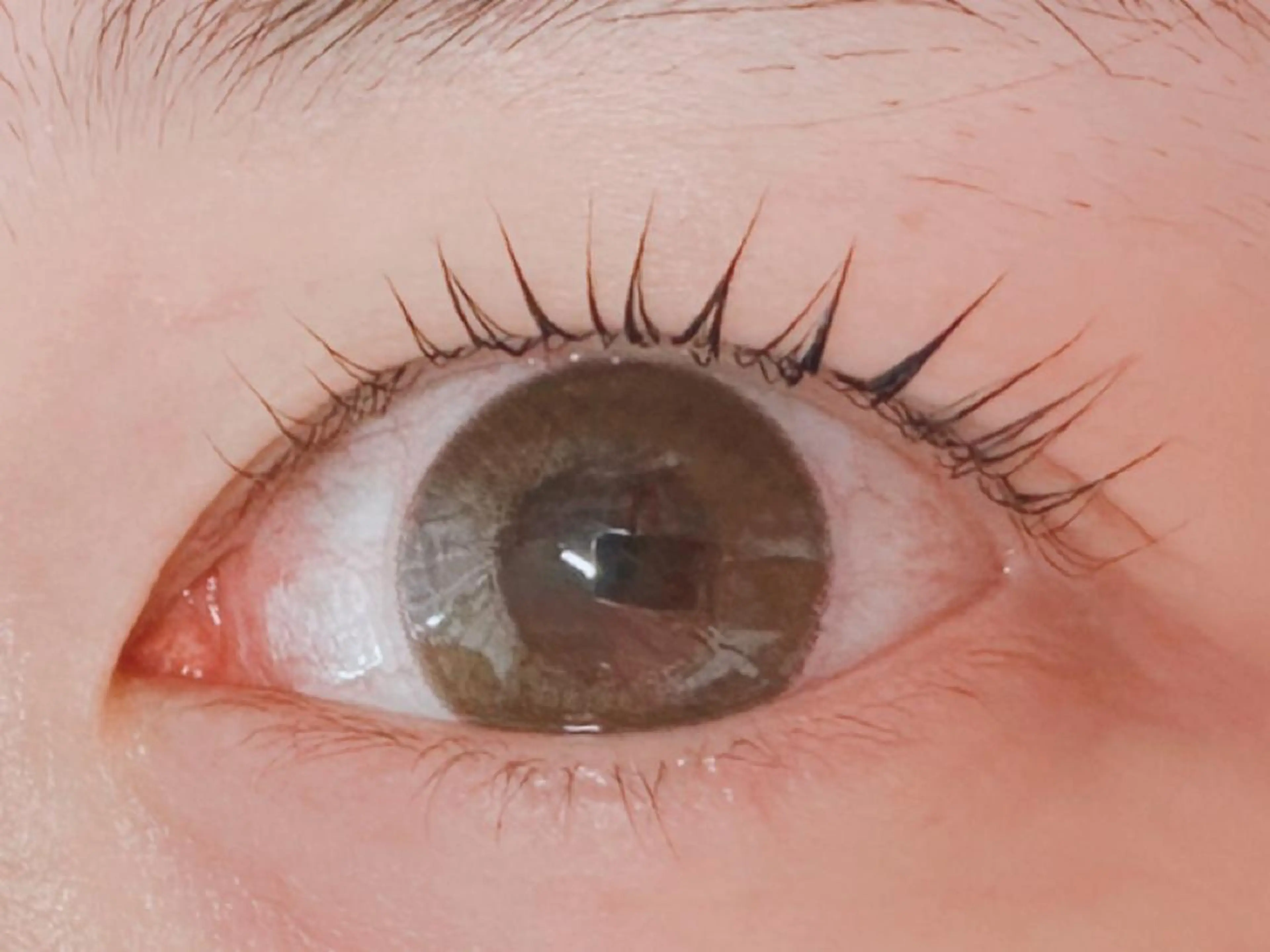 マツエク・マツパ パリジェンヌラッシュリフト マツパ 𝐉𝐎𝐋𝐈 アイリスト ❤︎のマツエク・マツパデザイン