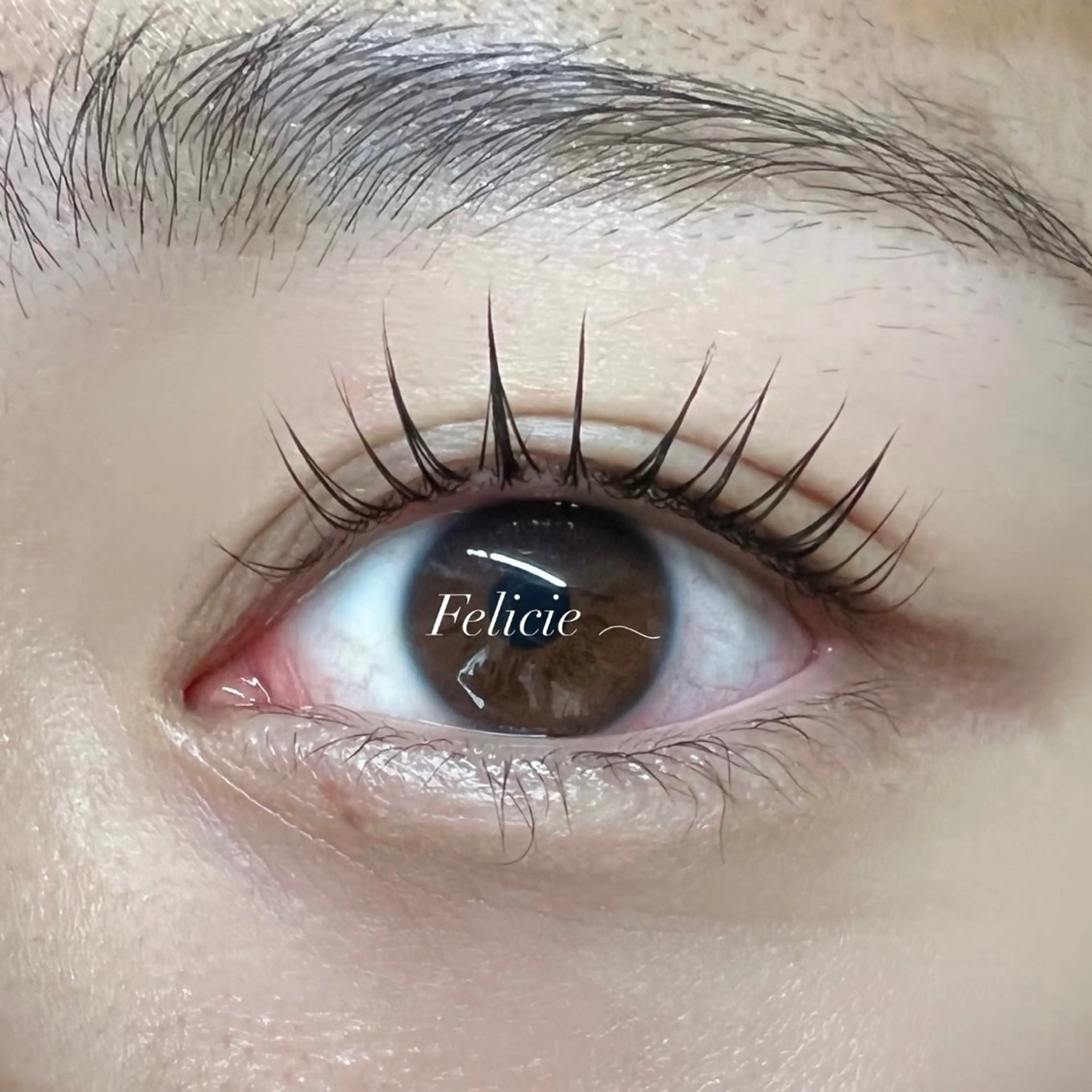 マツエク・マツパ パリジェンヌラッシュリフト マツパ Felicie＊ Sayakaのマツエク・マツパデザイン